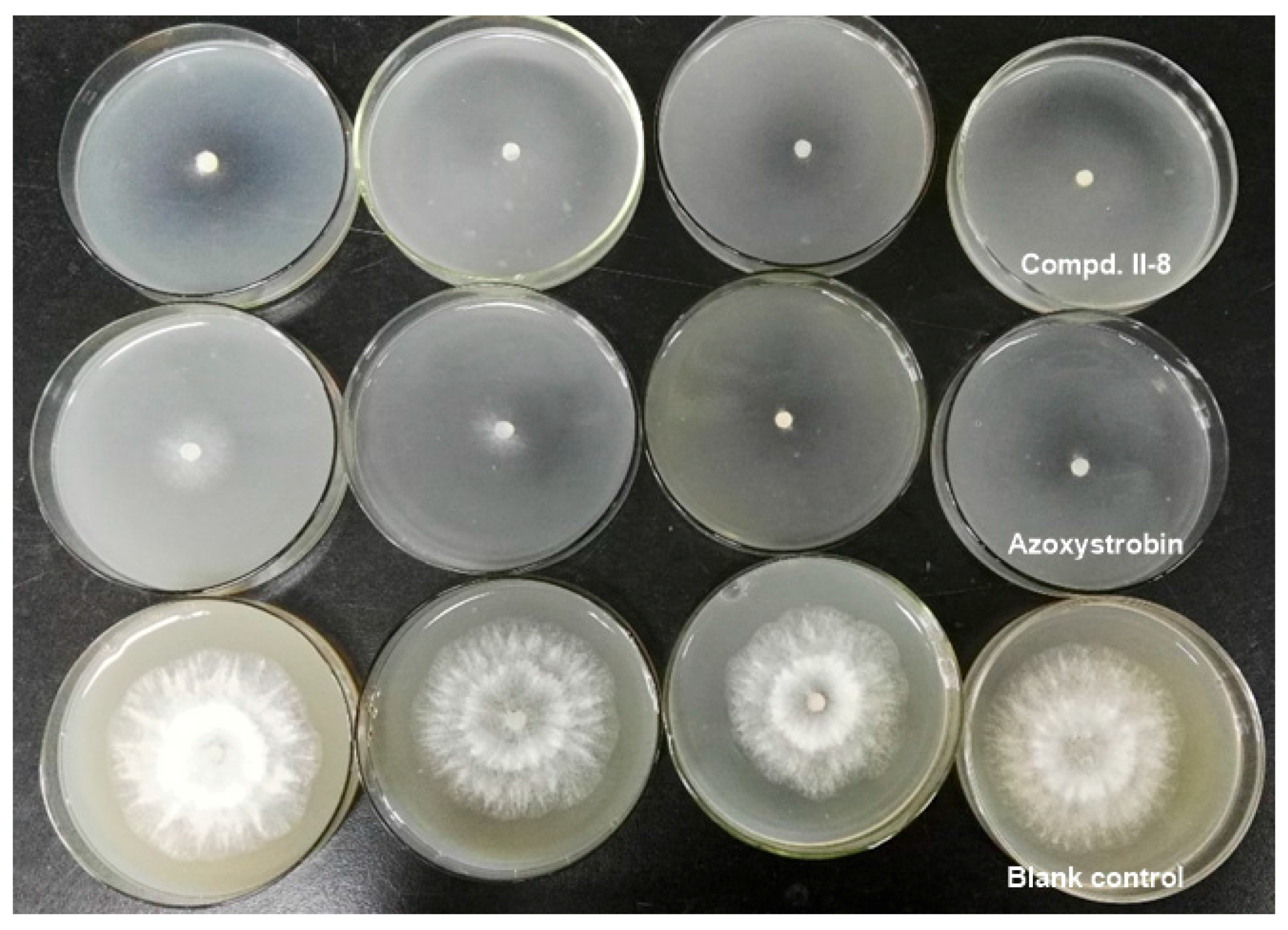 Molecules 22 00763 g005