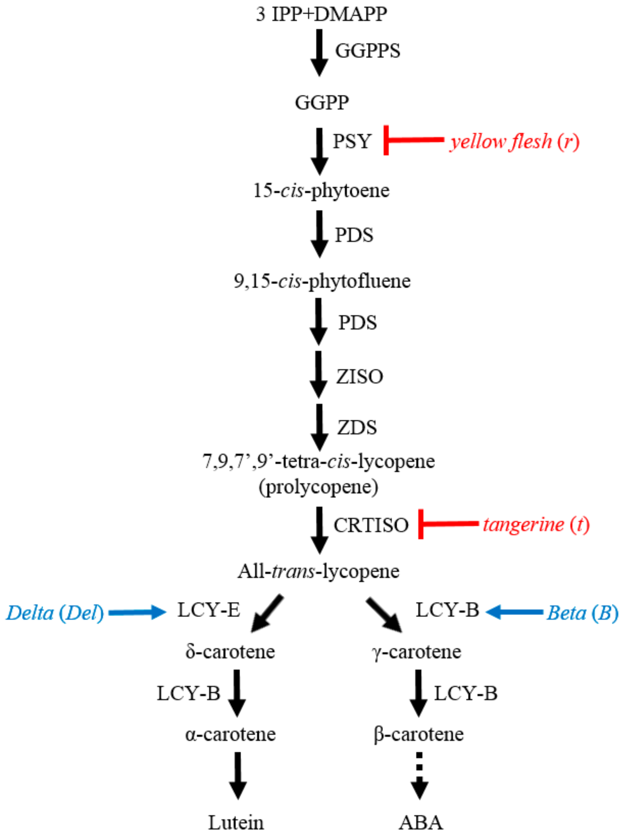 Molecules 22 00764 sch001