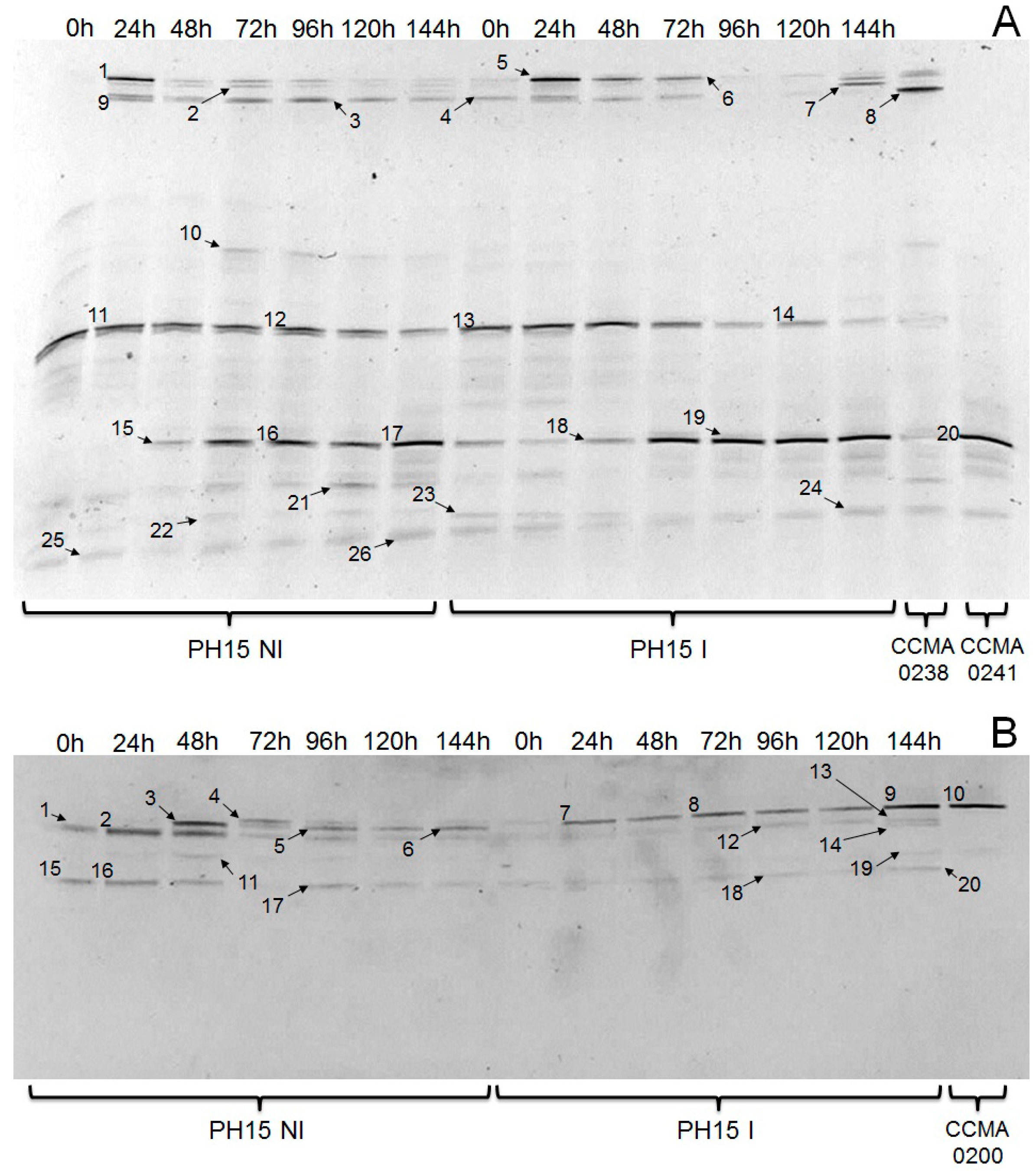 Molecules 22 00766 g001