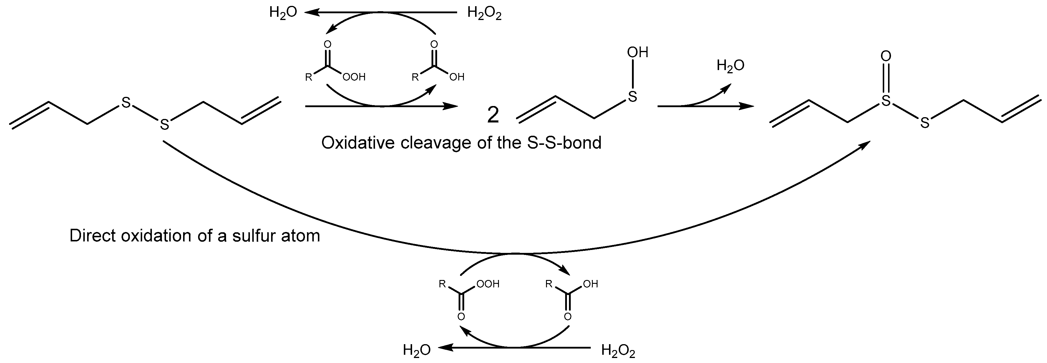 Molecules 22 00770 sch001