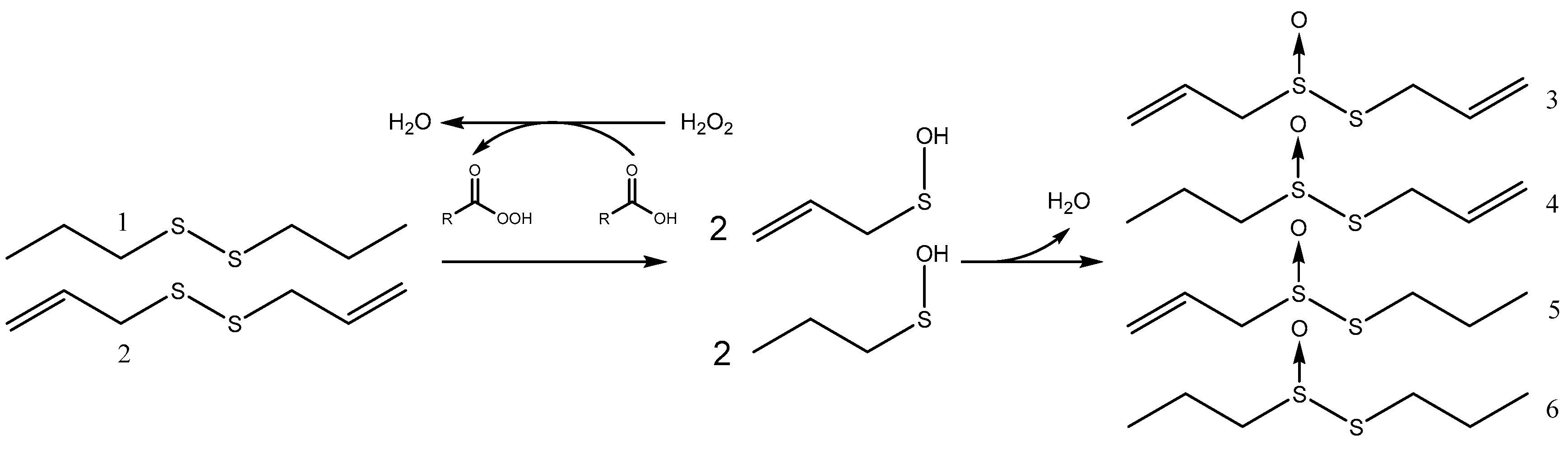 Molecules 22 00770 sch002