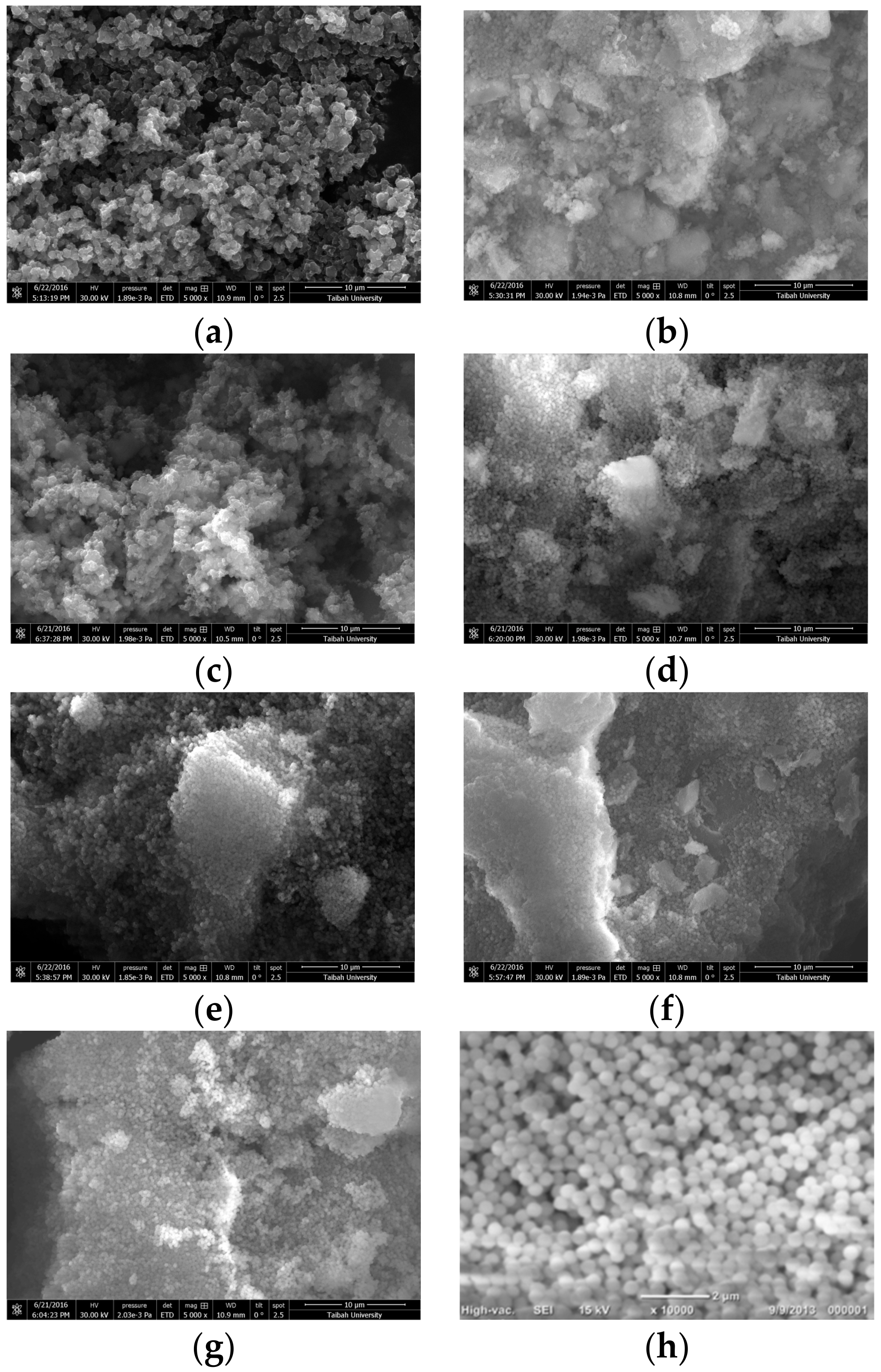 Molecules 22 00772 g003