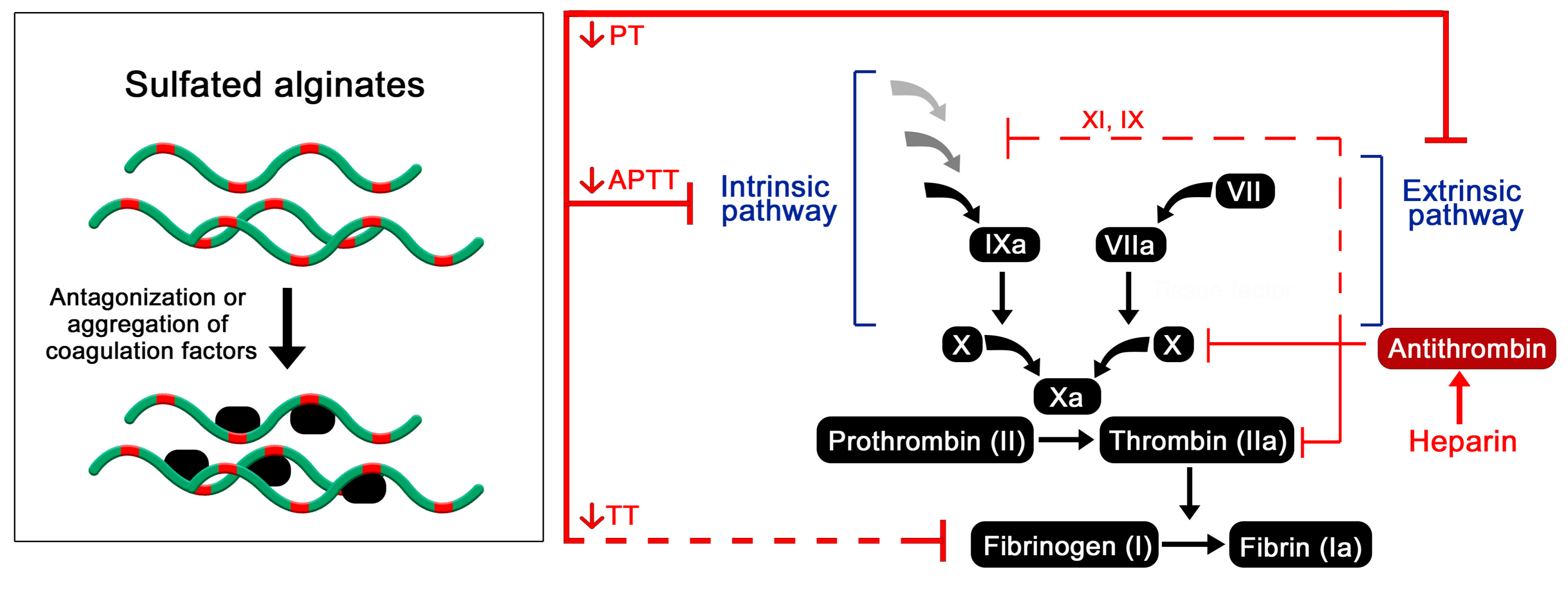 Molecules 22 00778 g004