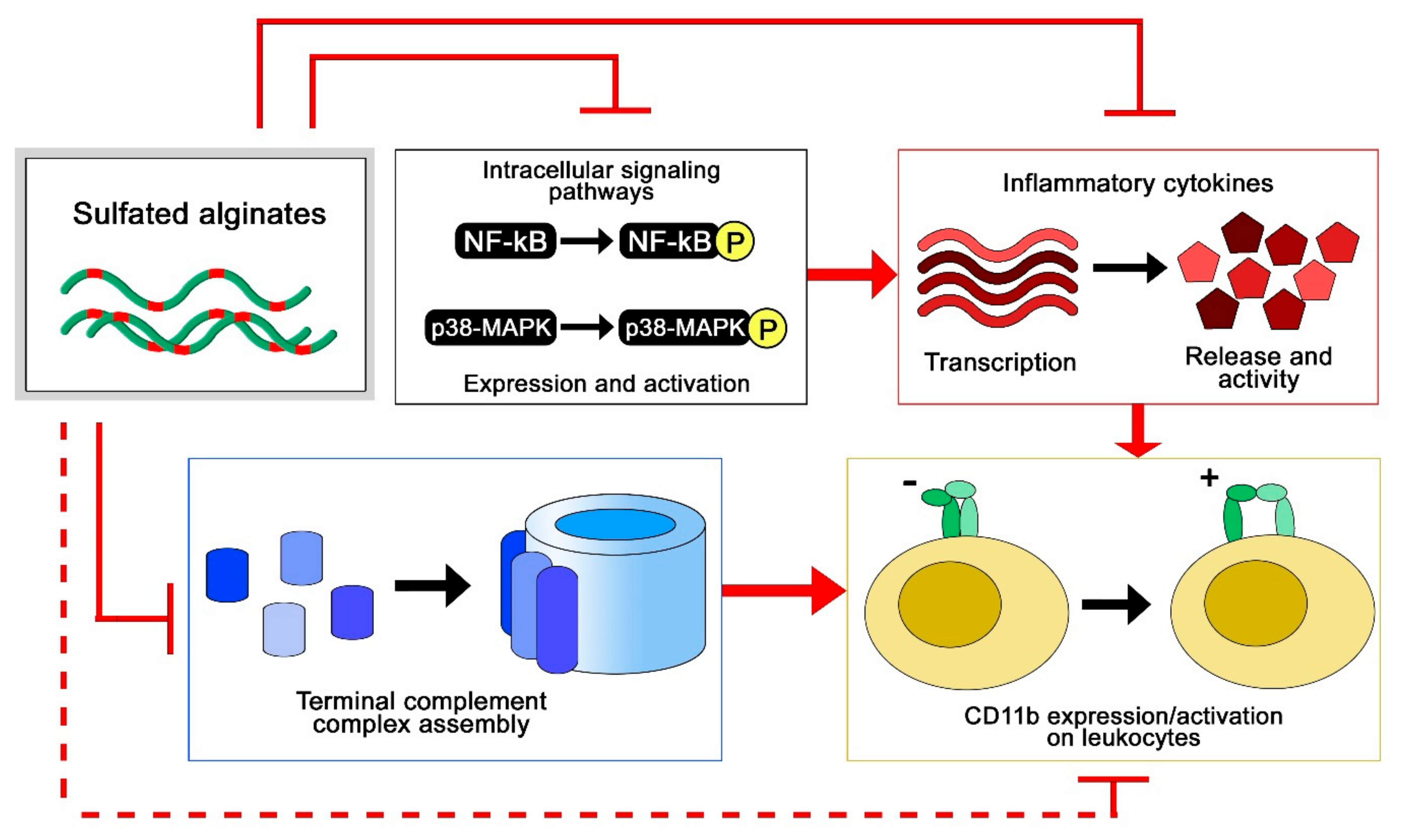 Molecules 22 00778 g005