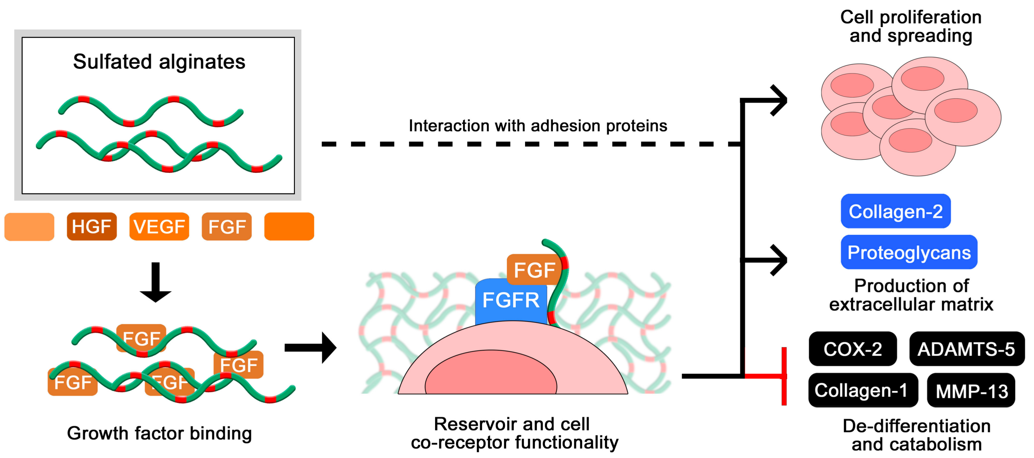 Molecules 22 00778 g006