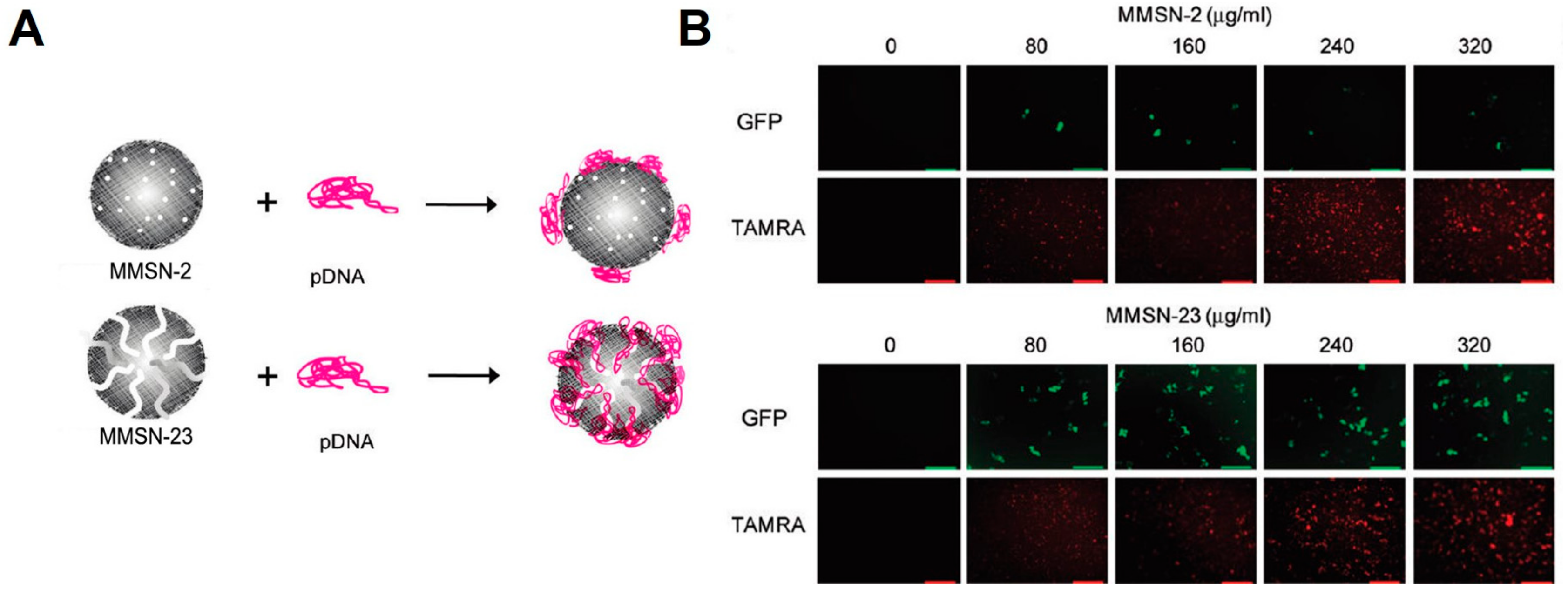 Molecules 22 00782 g002