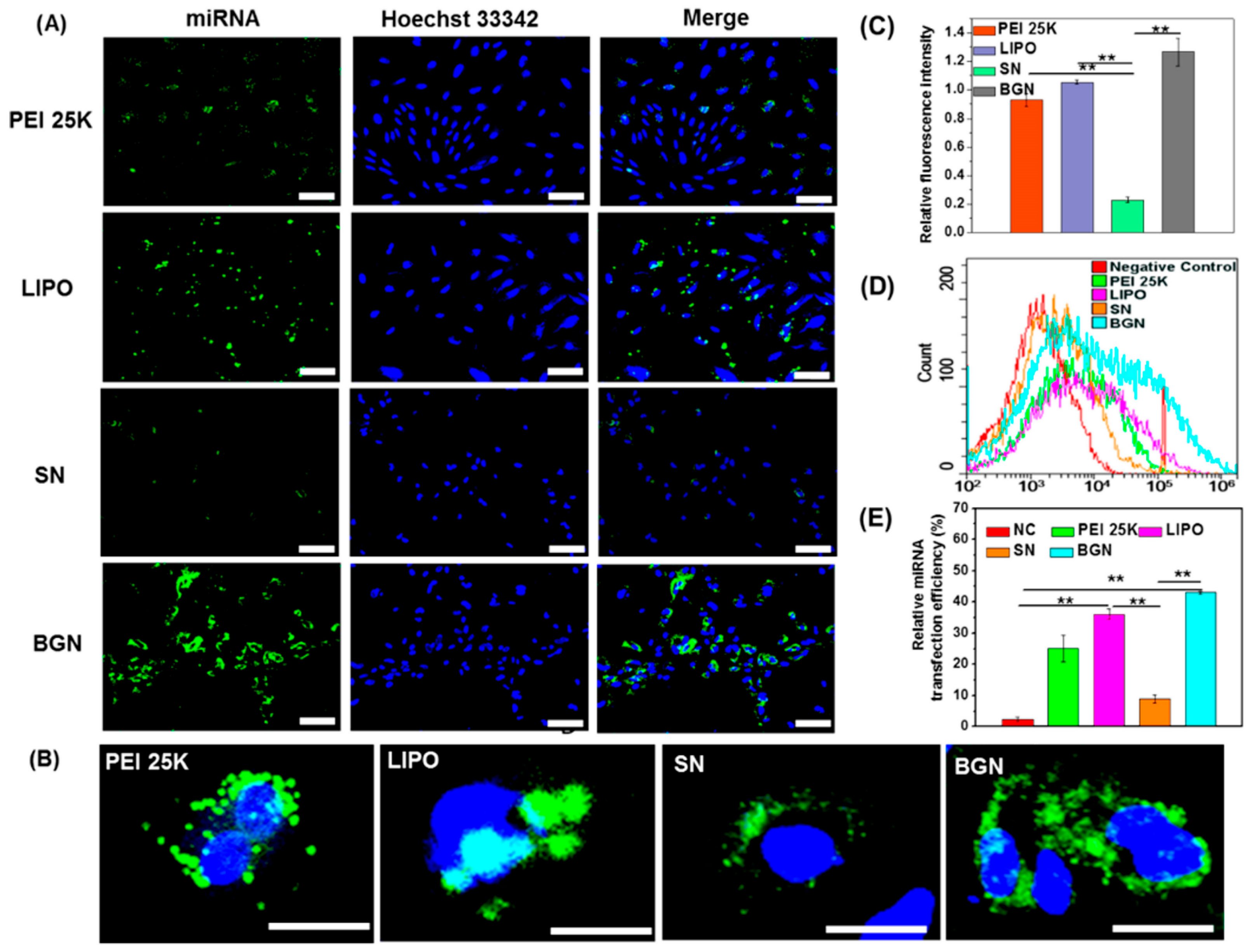 Molecules 22 00782 g005