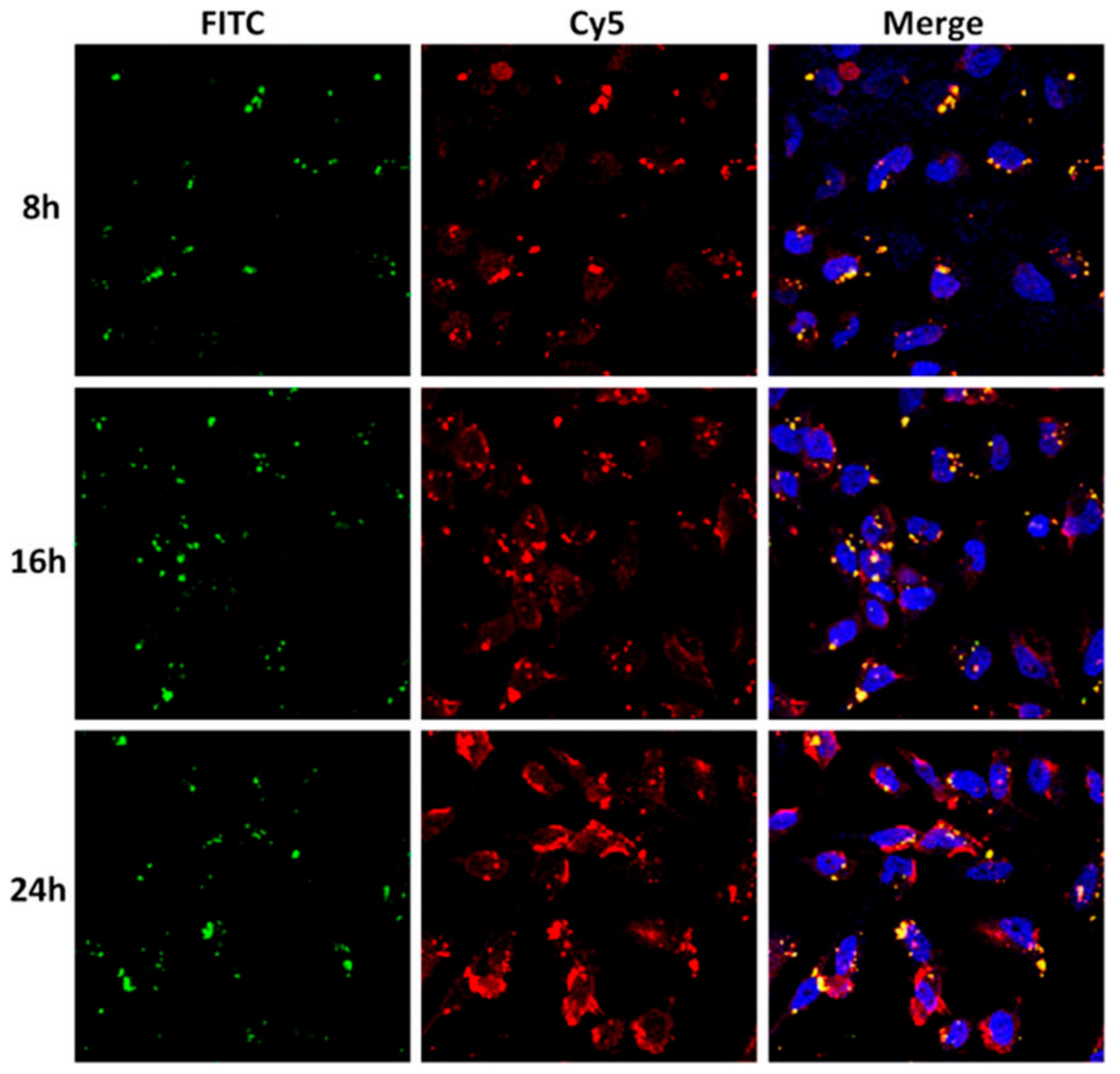 Molecules 22 00782 g008