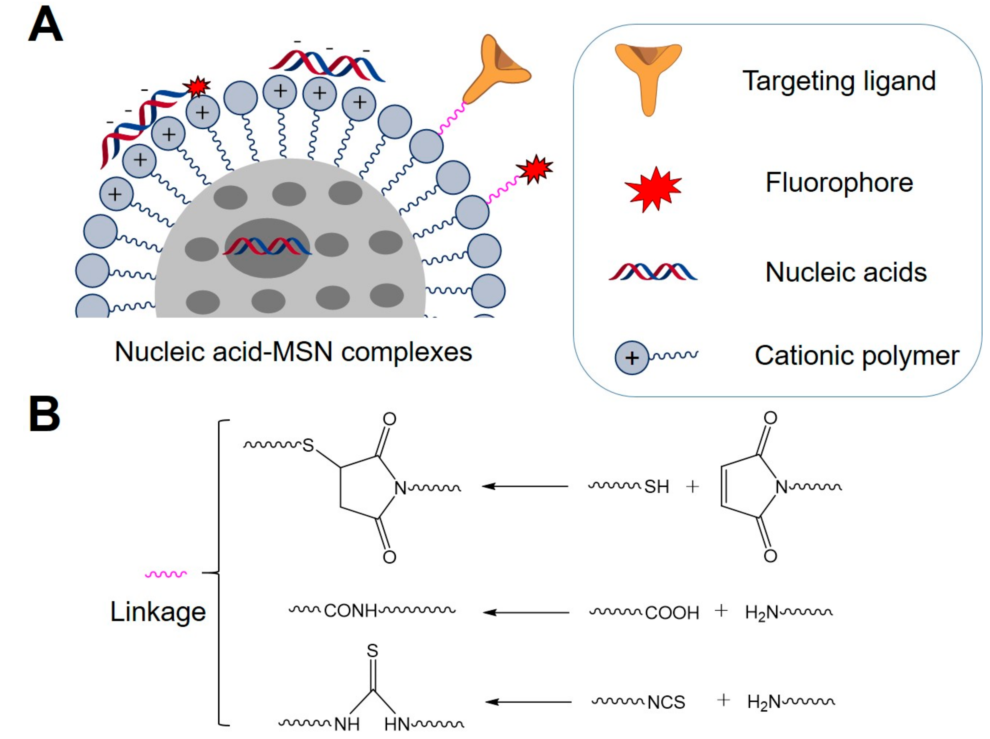 Molecules 22 00782 sch001