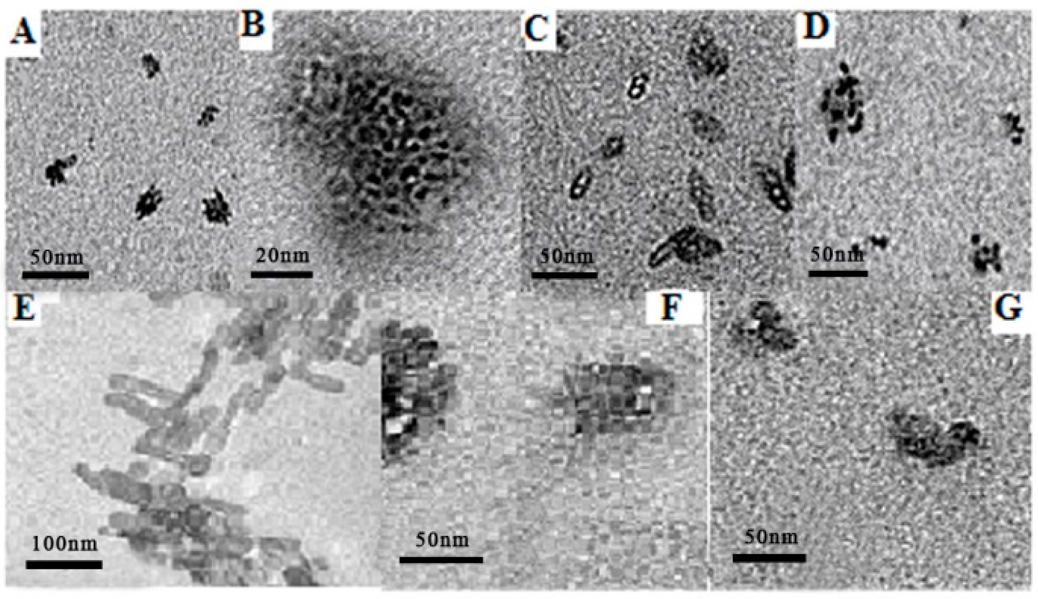 Molecules 22 00783 g006