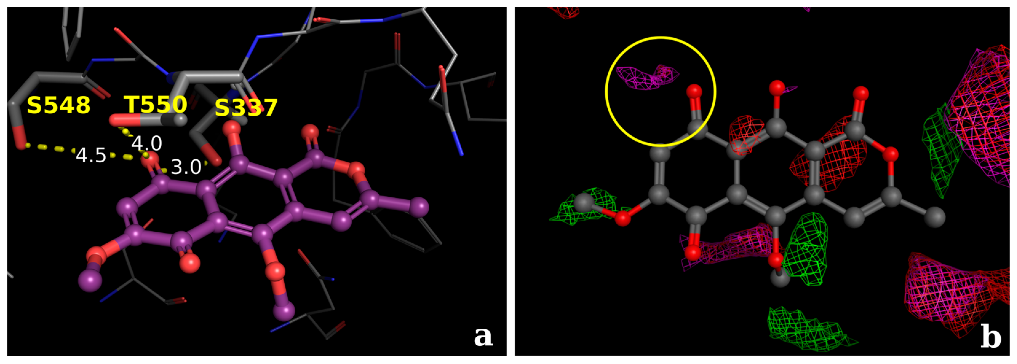 Molecules 22 00786 g007