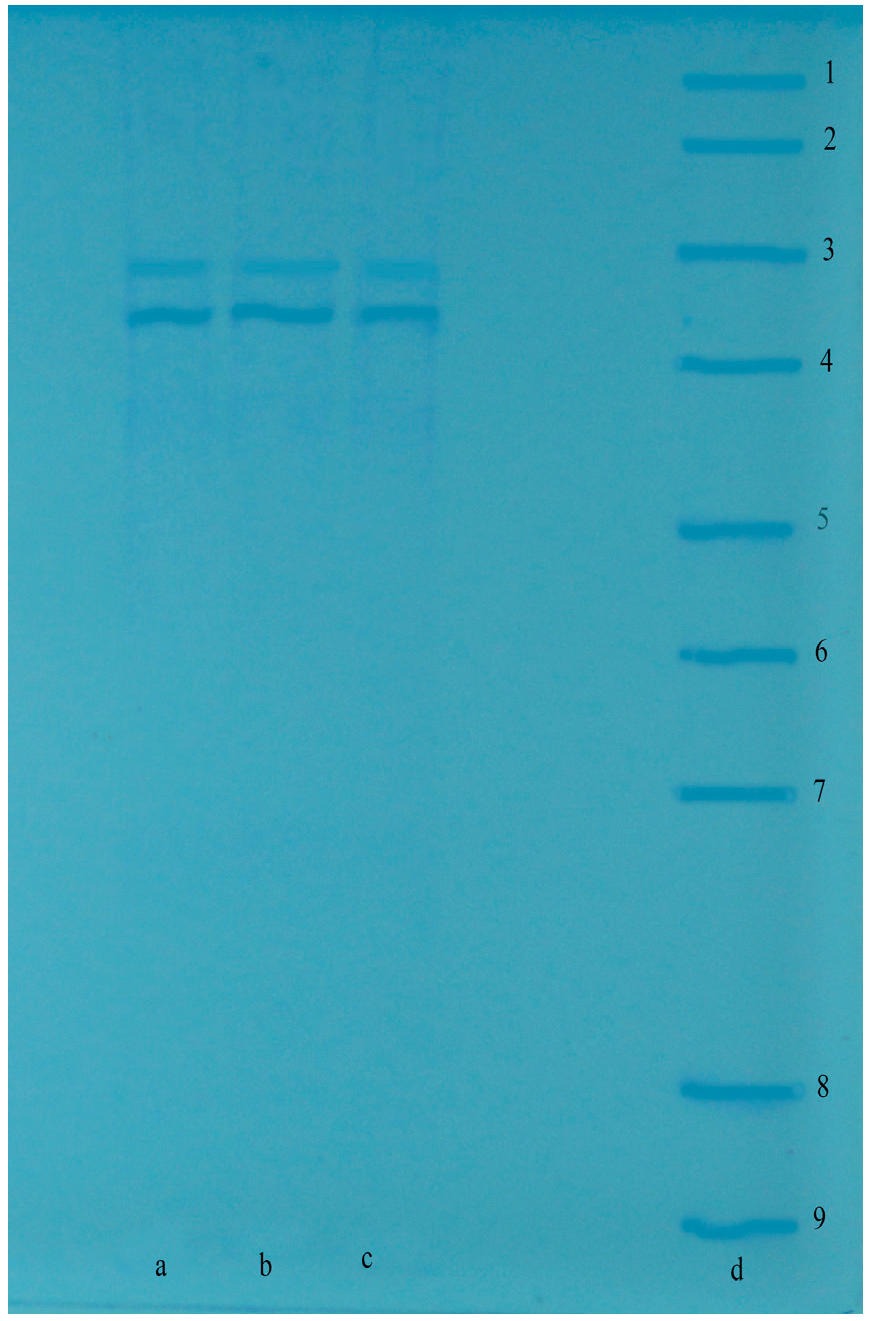 Molecules 22 00793 g002