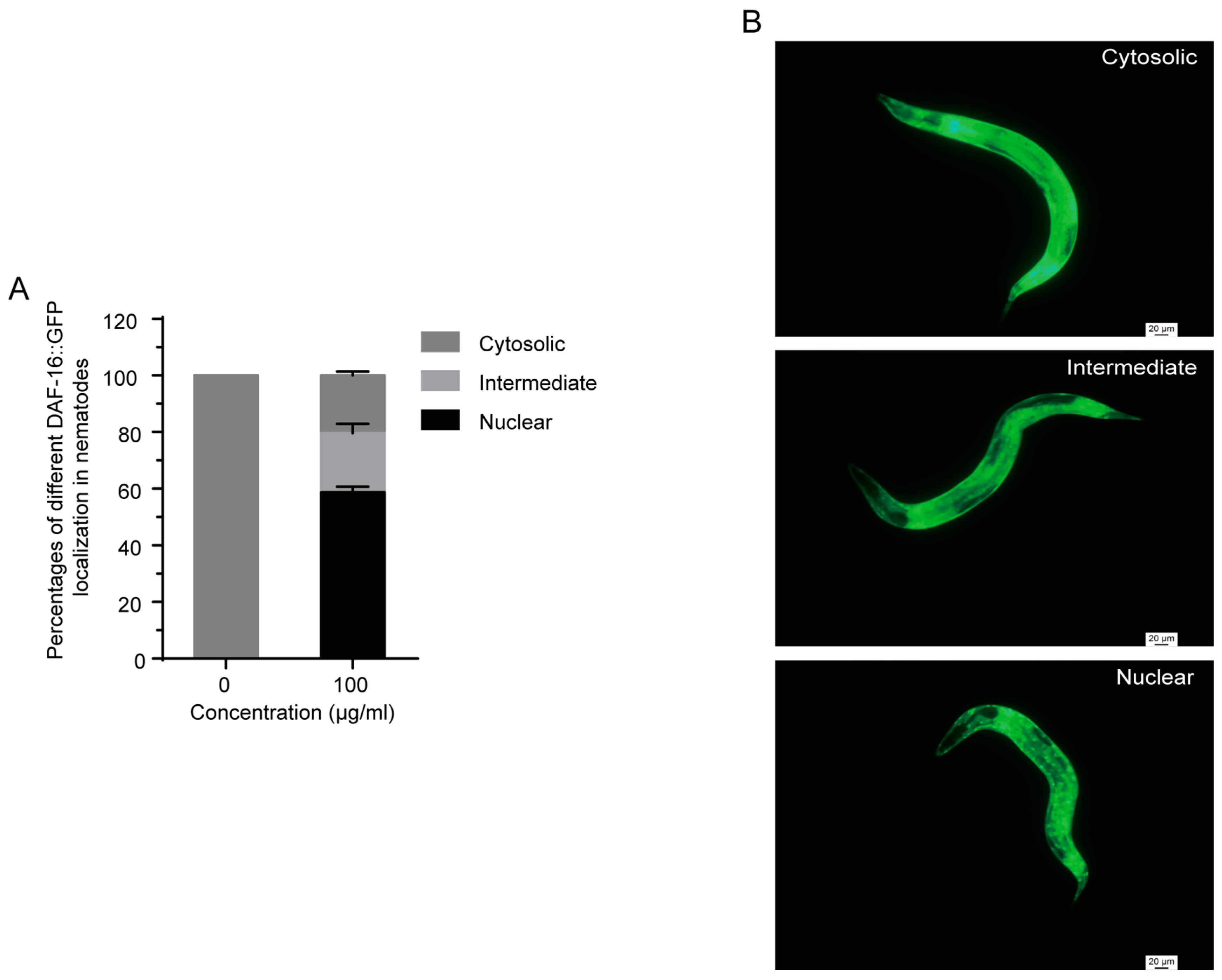 Molecules 22 00798 g006