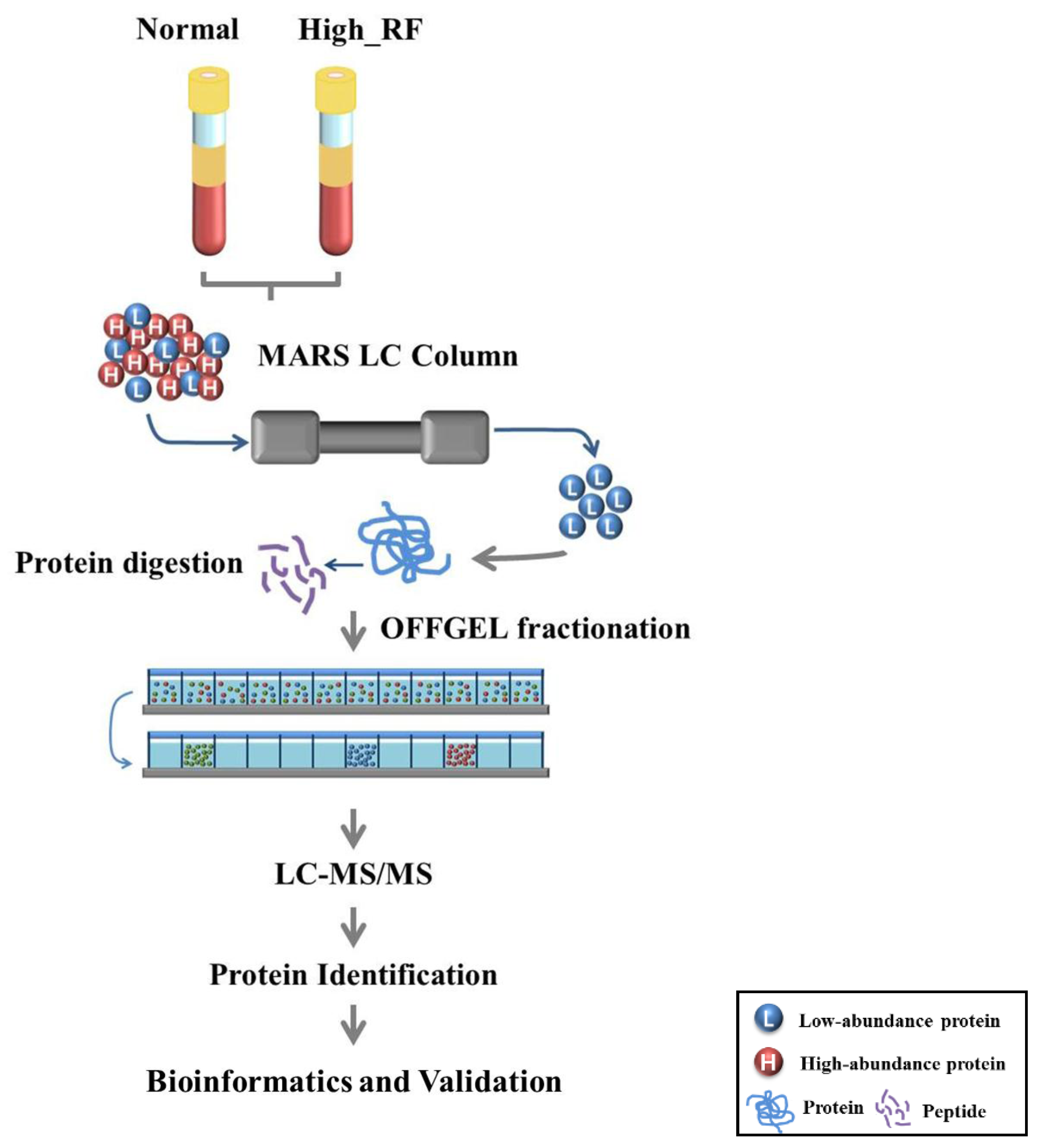 Molecules 22 00805 g001