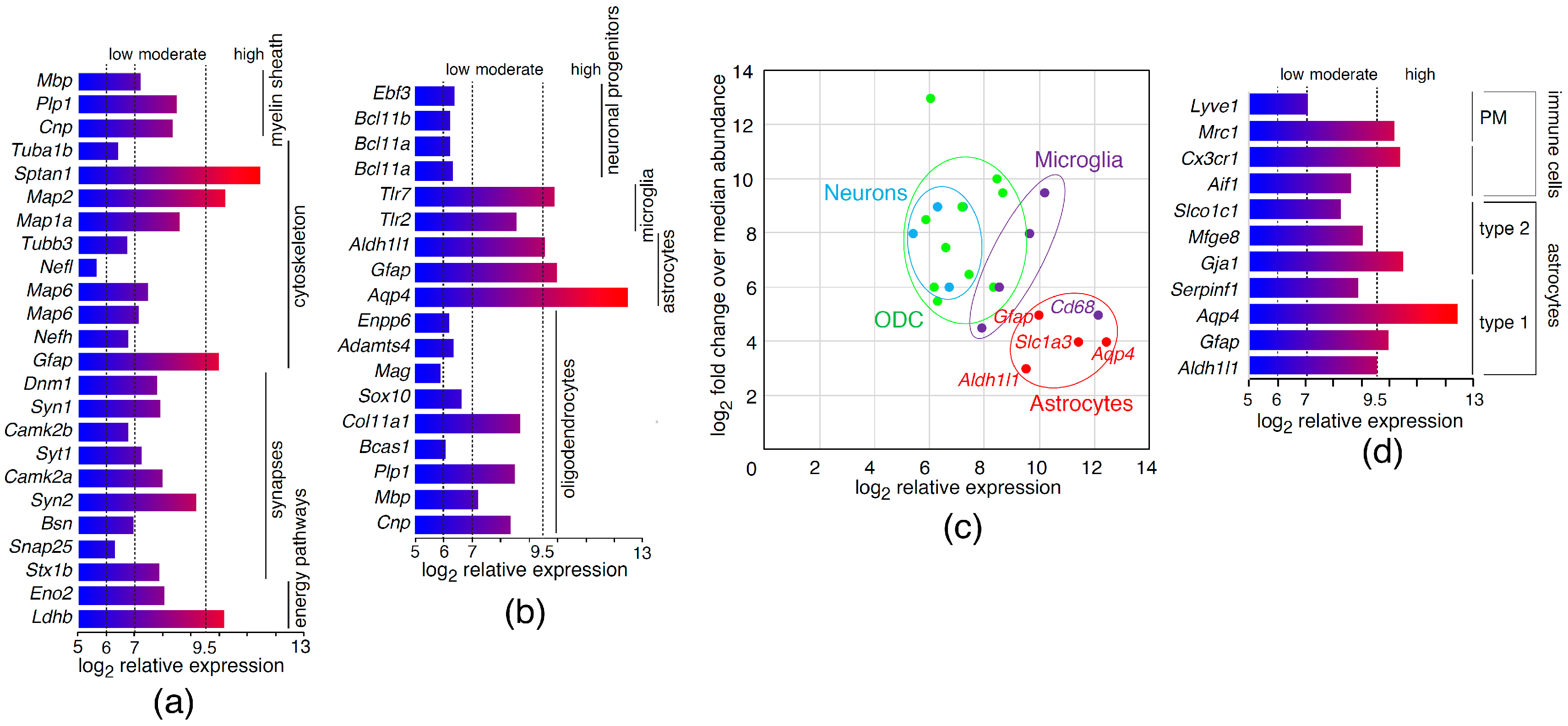 Molecules 22 00808 g001