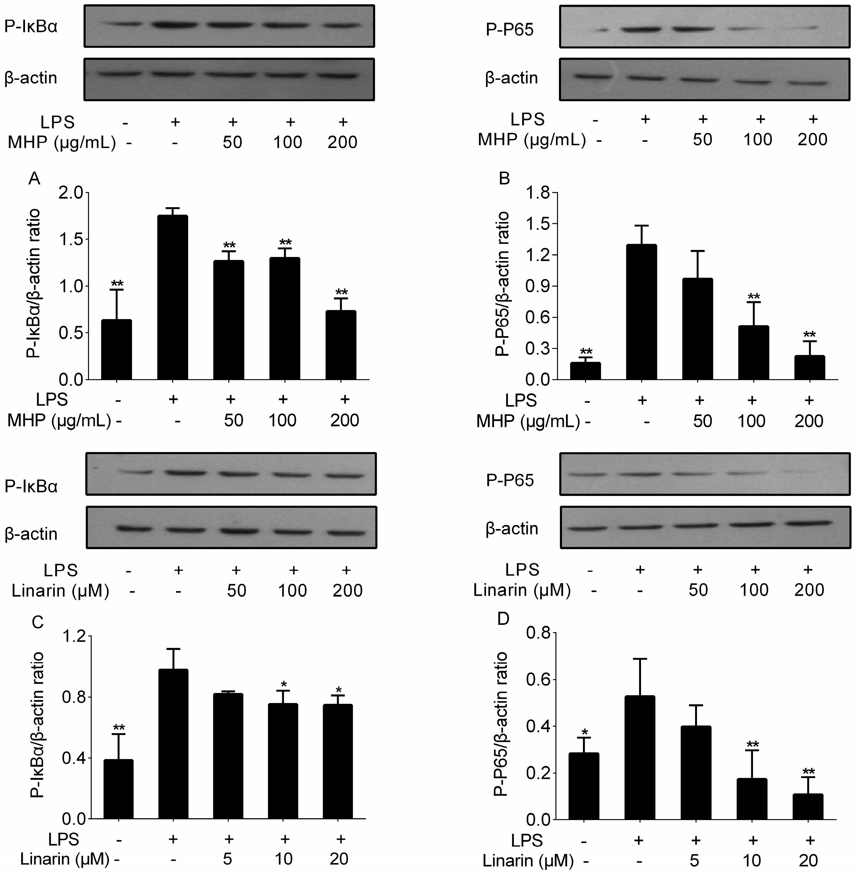 Molecules 22 00811 g006