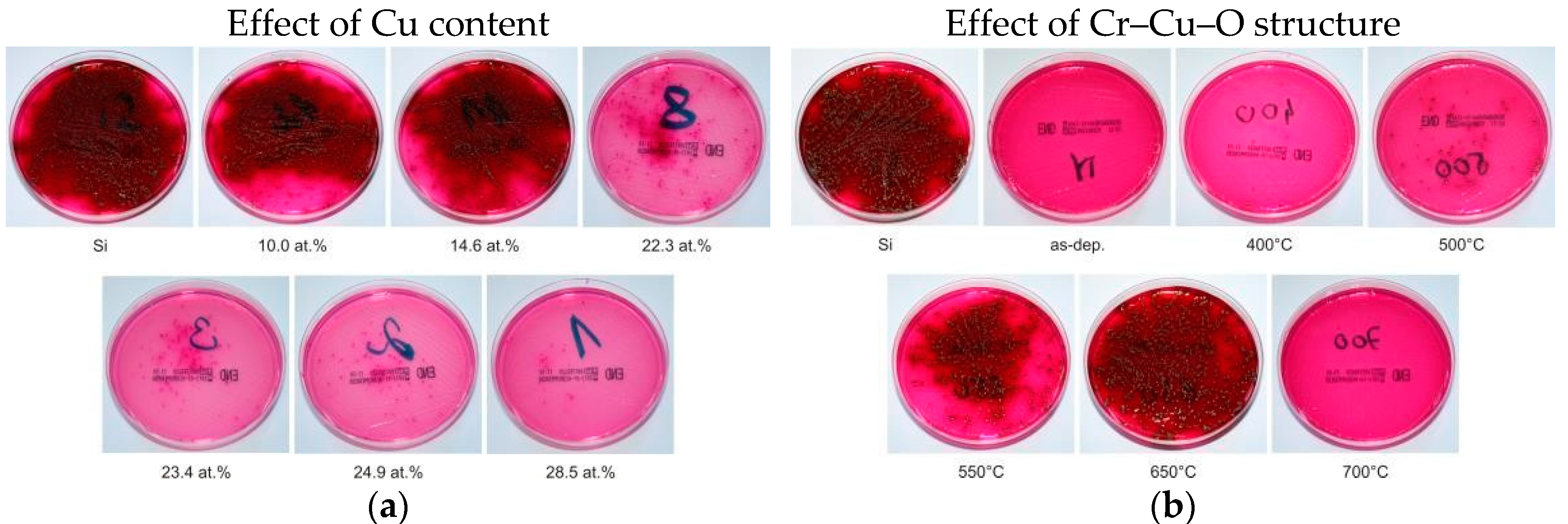 Molecules 22 00813 g001