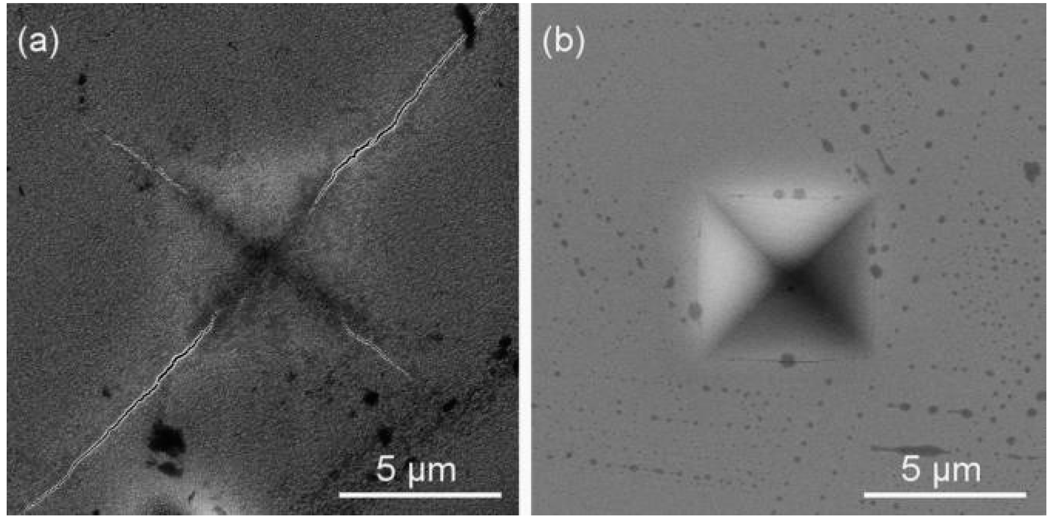 Molecules 22 00813 g008