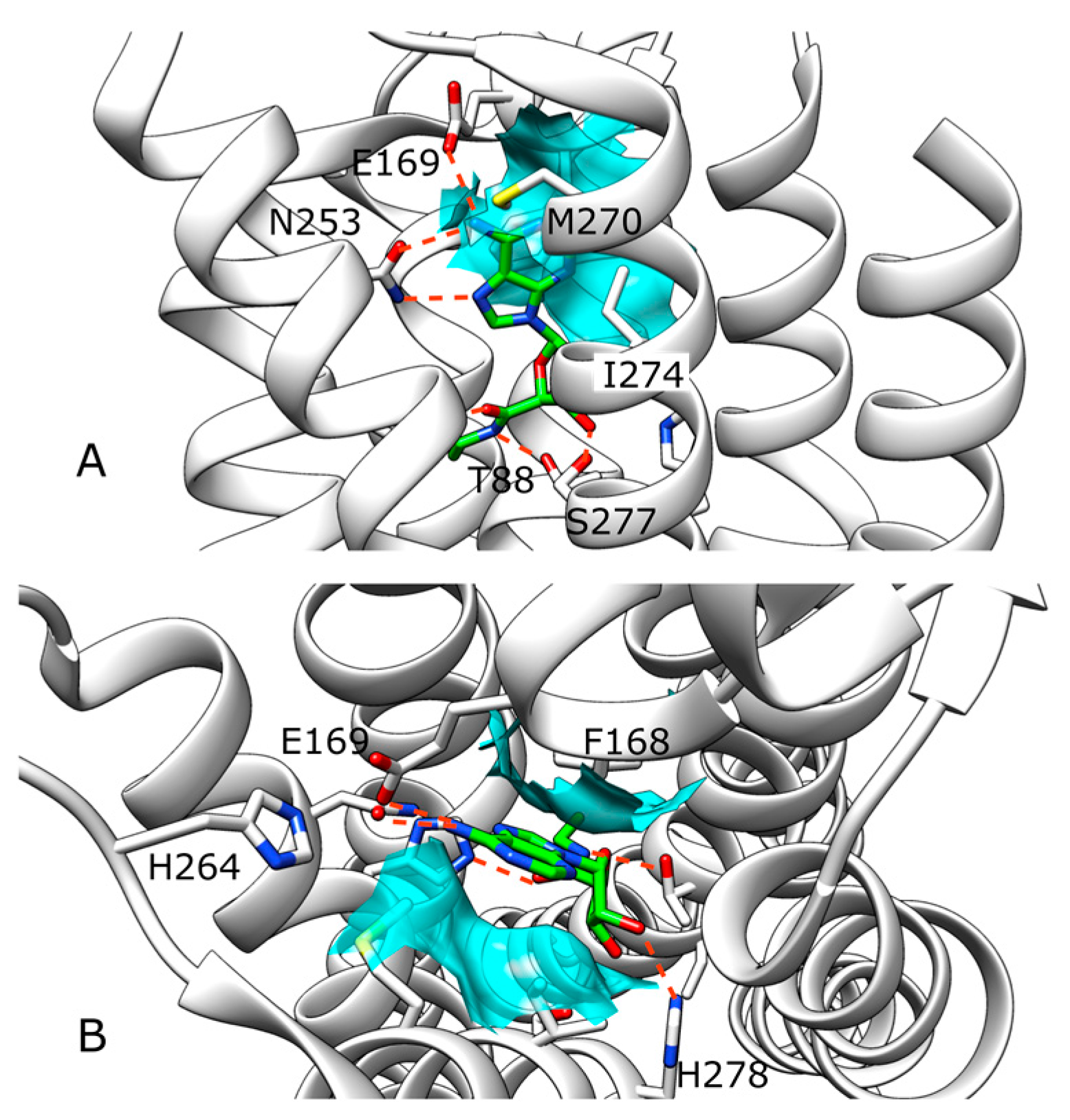 Molecules 22 00818 g005