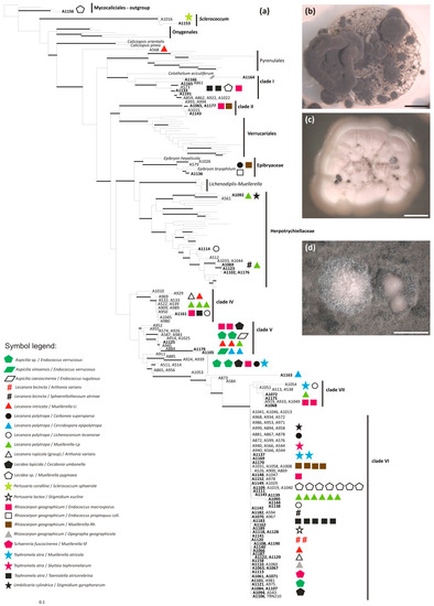 Molecules 22 00824 g004 550