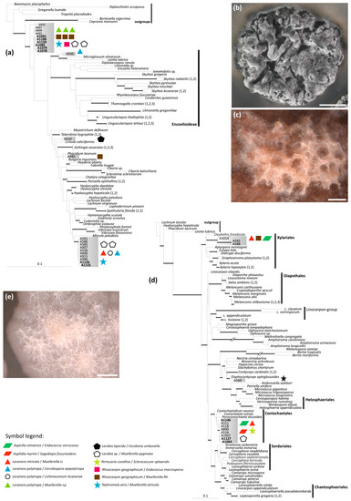 Molecules 22 00824 g006 550