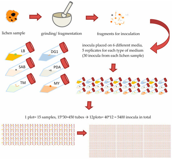 Molecules 22 00824 g008 550