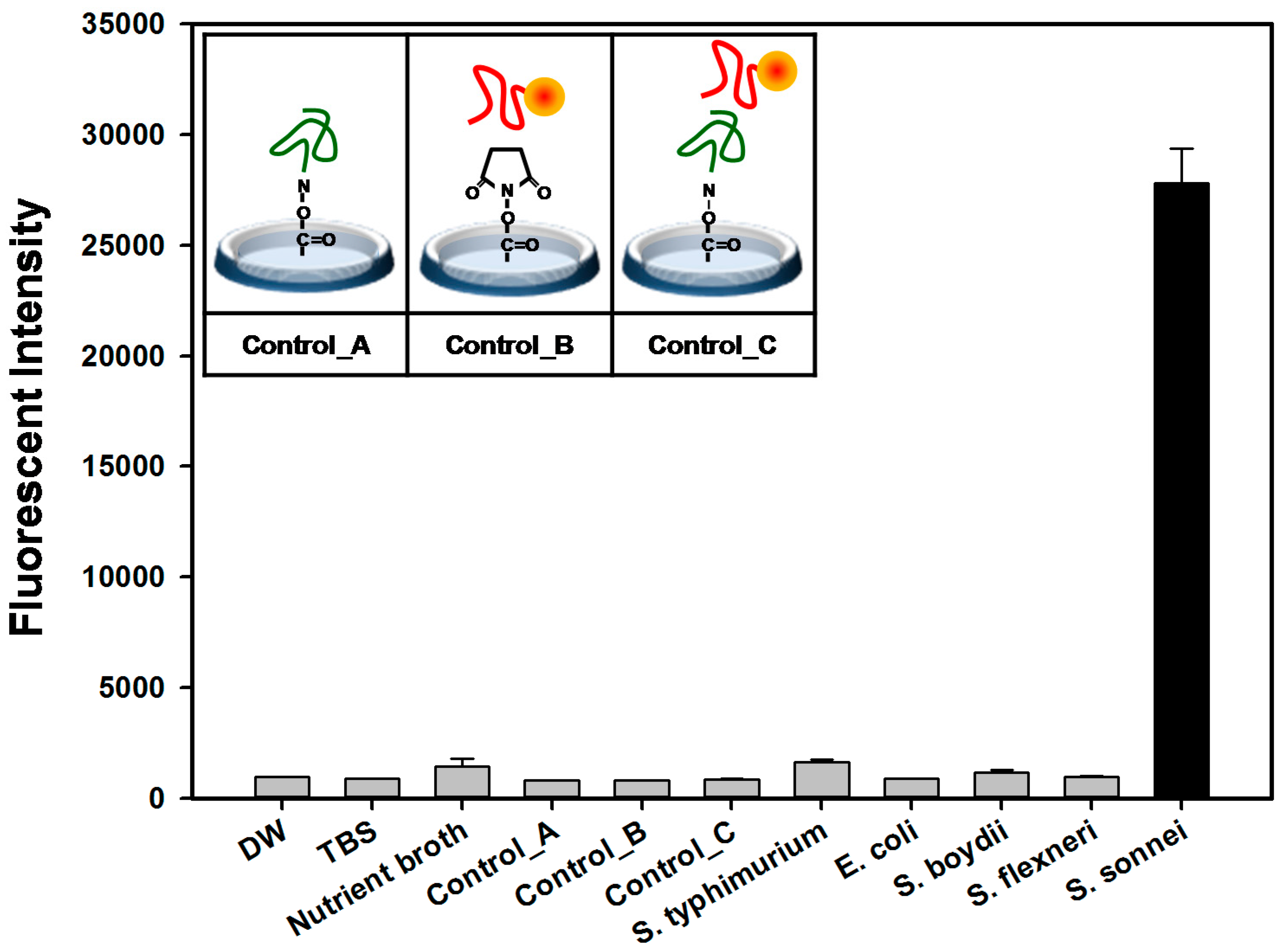 Molecules 22 00825 g005