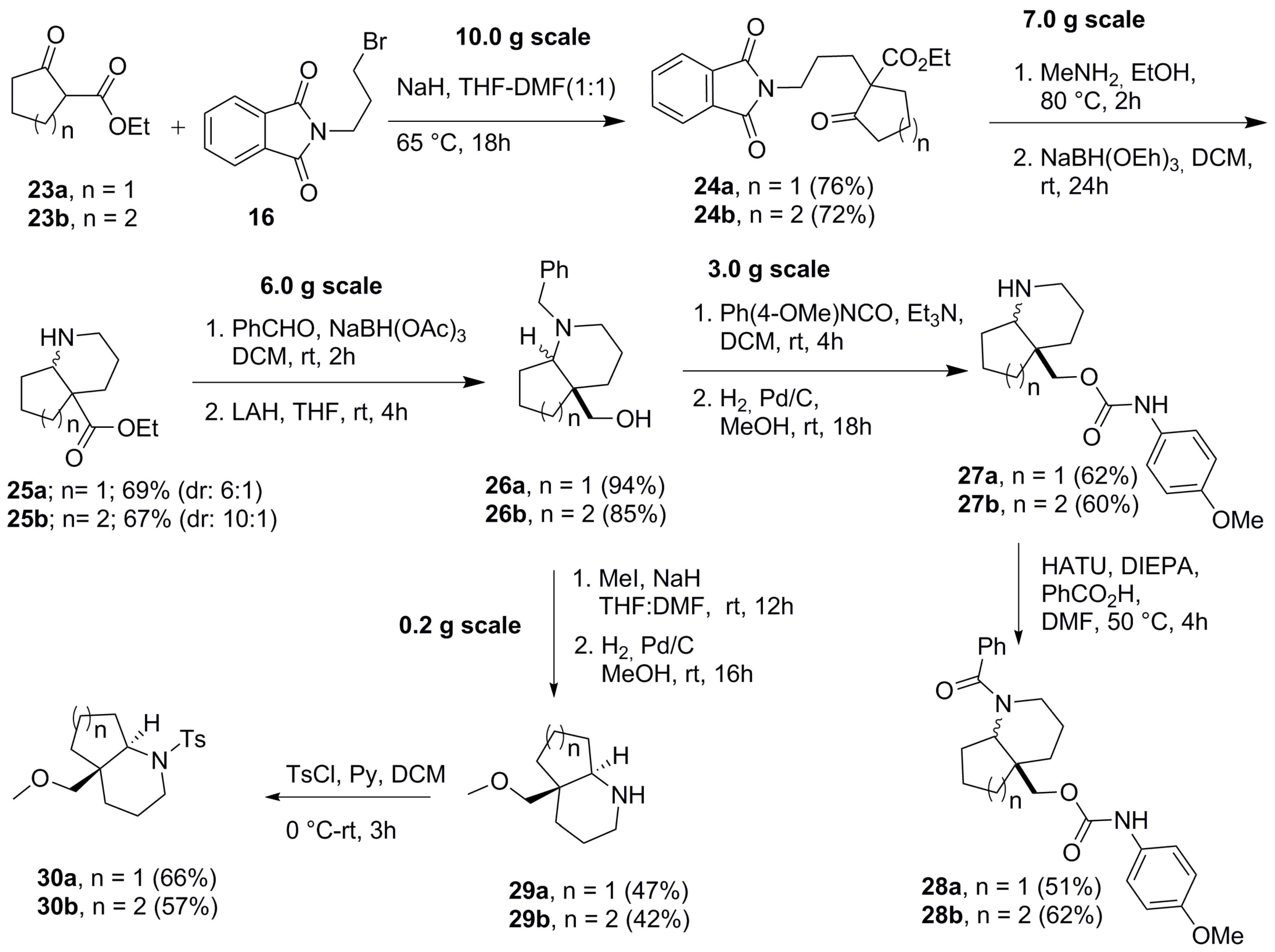 Molecules 22 00827 sch003