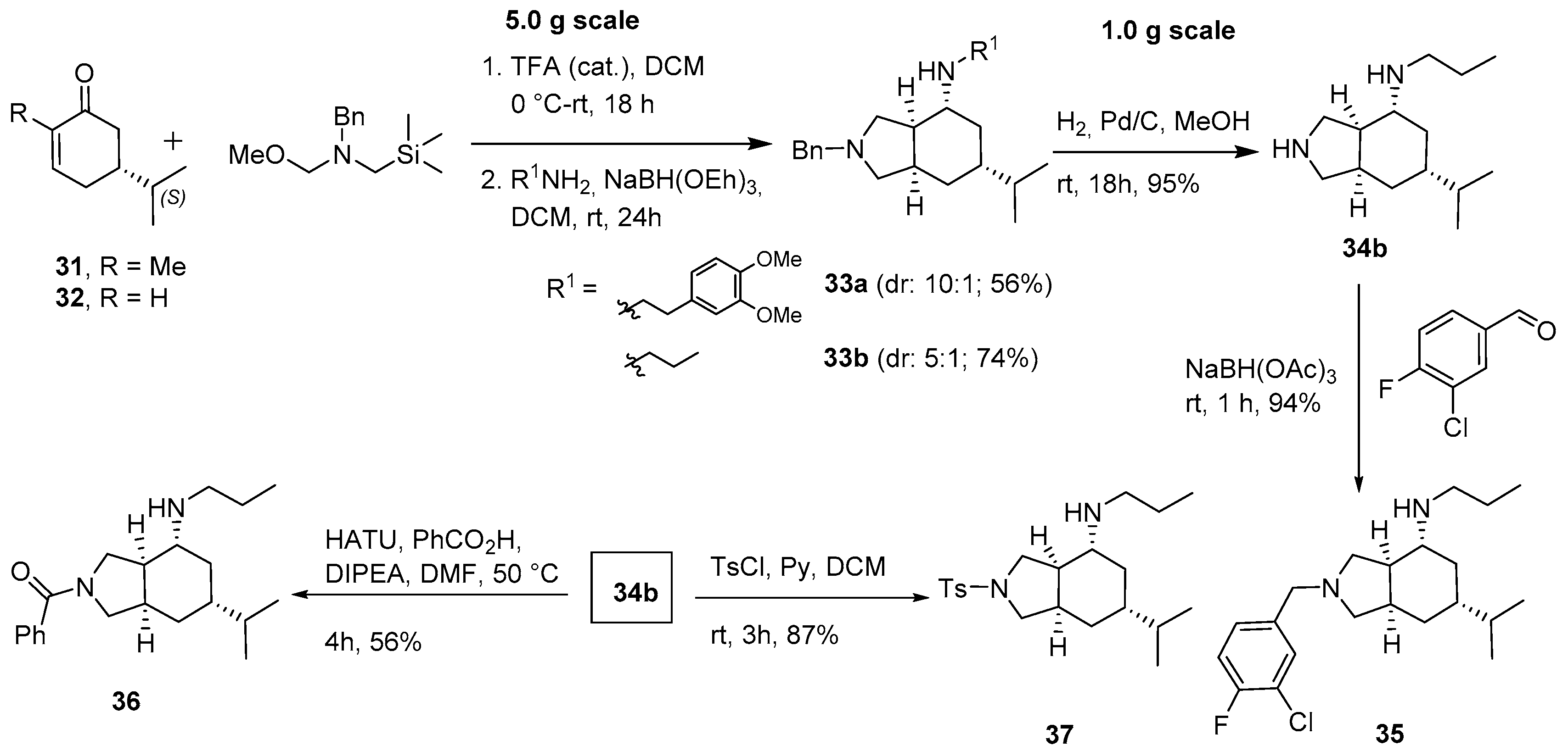 Molecules 22 00827 sch004