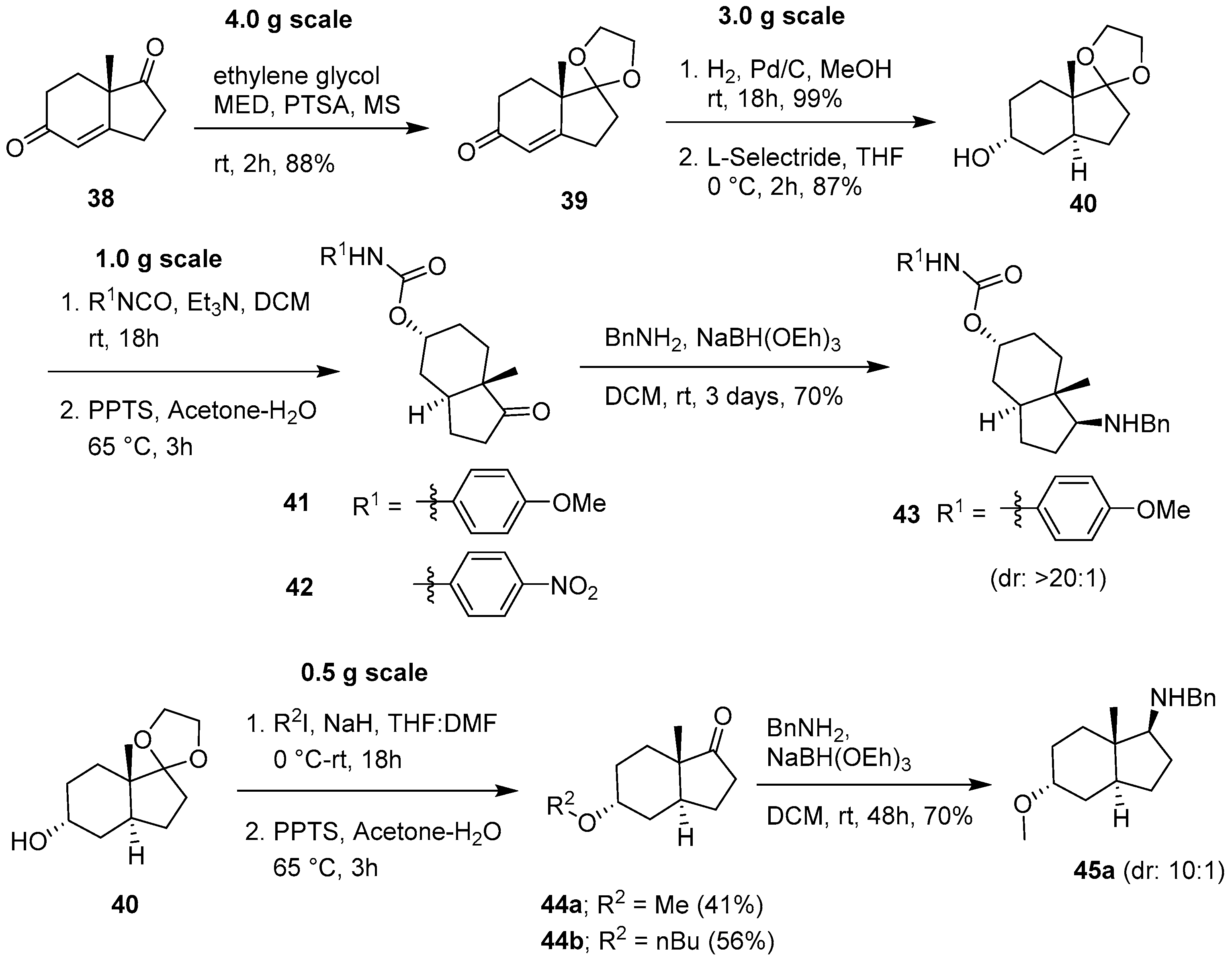 Molecules 22 00827 sch005