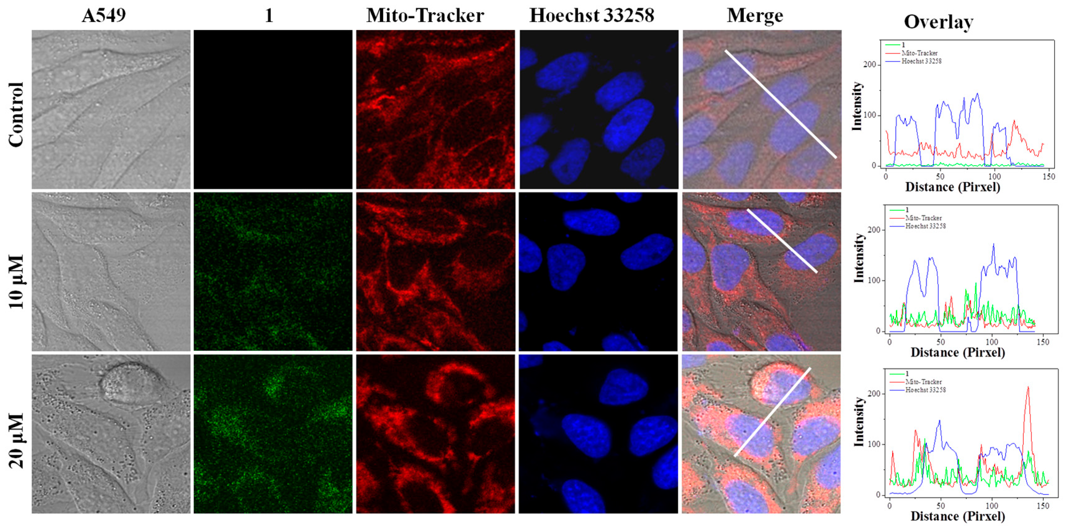 Molecules 22 00829 g002