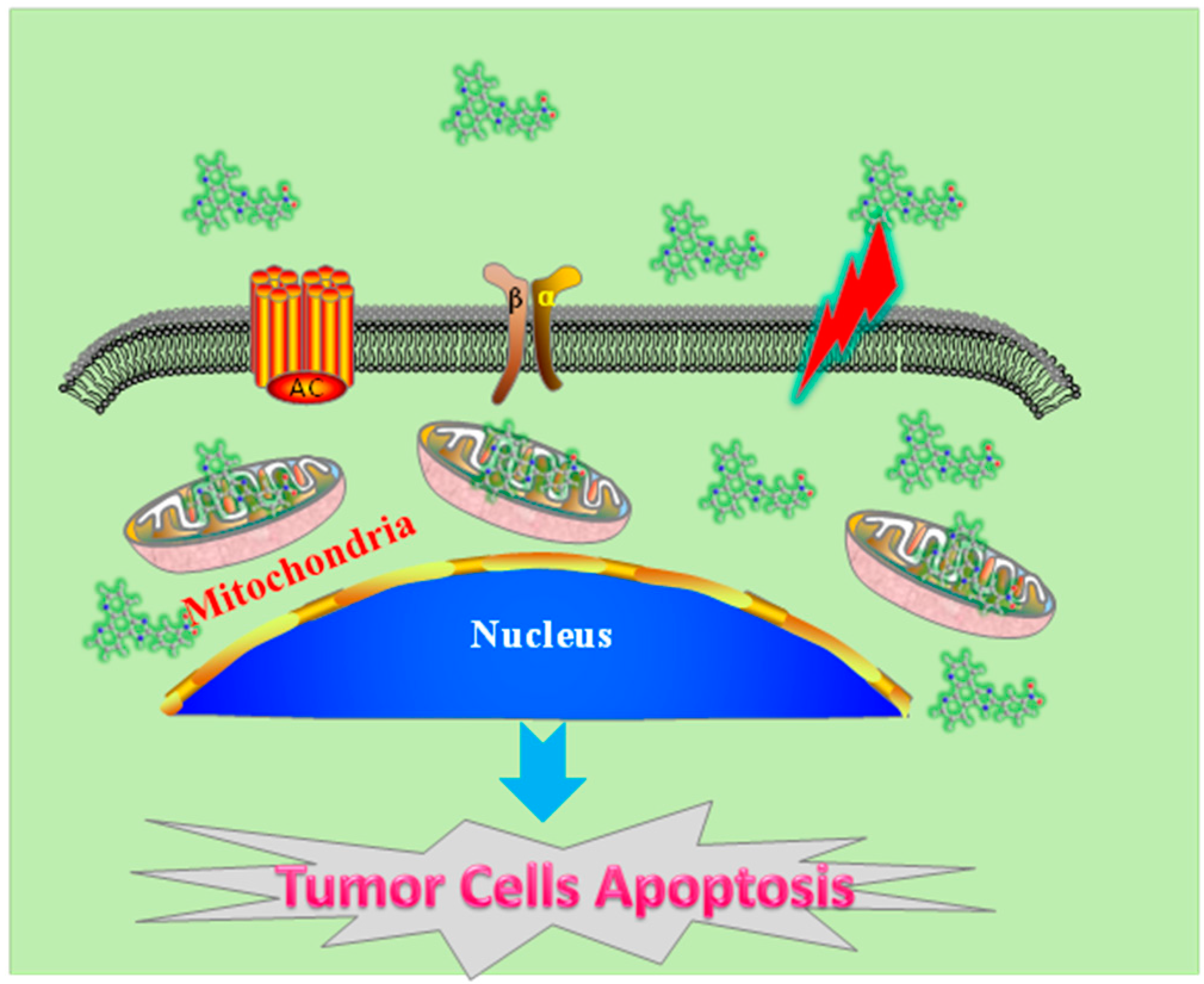 Molecules 22 00829 g005