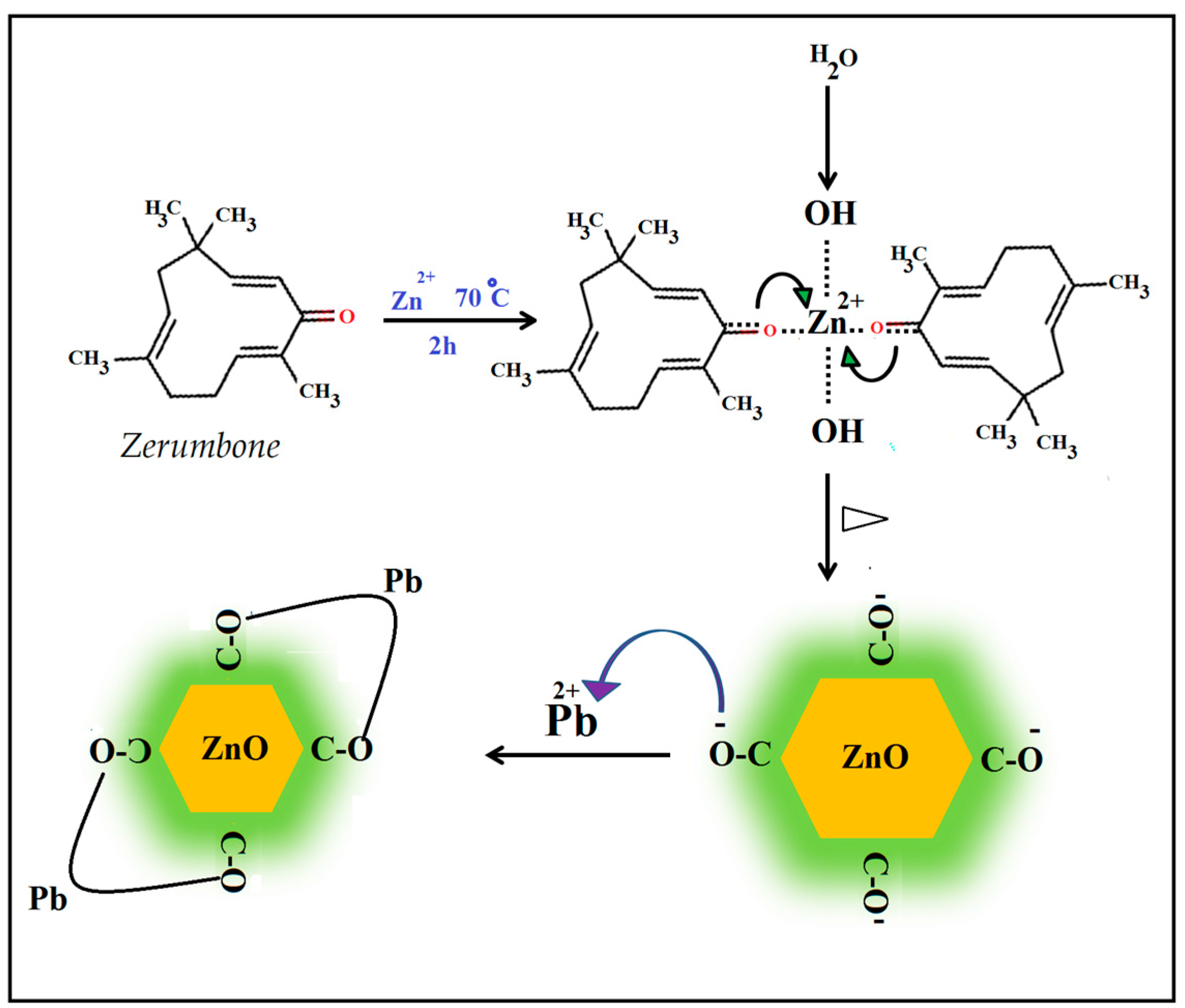 Molecules 22 00831 g001 Molecules 22 00831 g001
