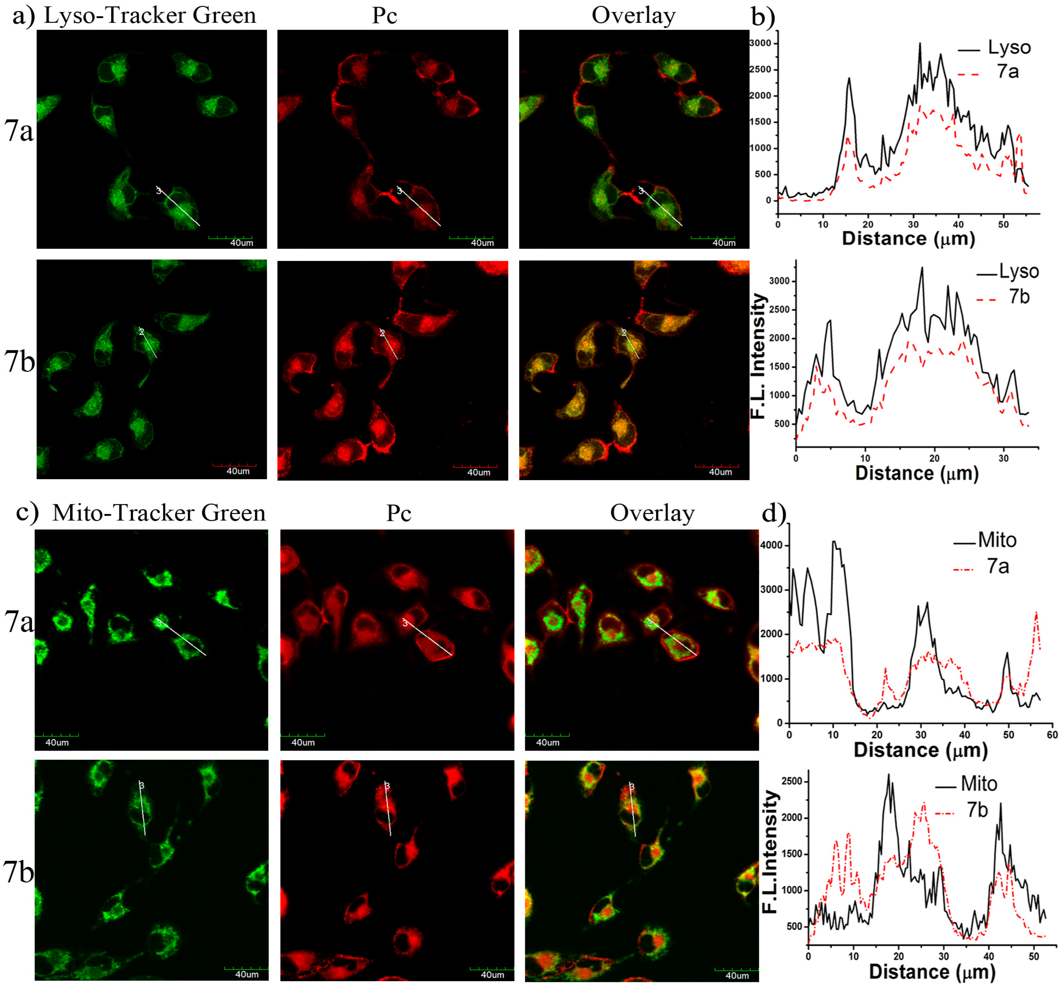 Molecules 22 00845 g007