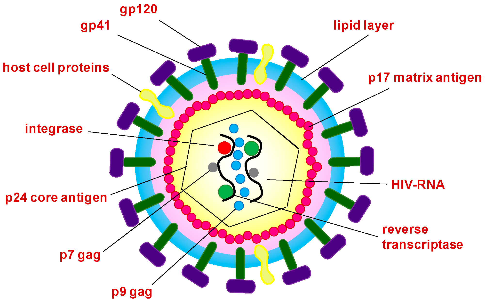 Molecules 22 00857 g004
