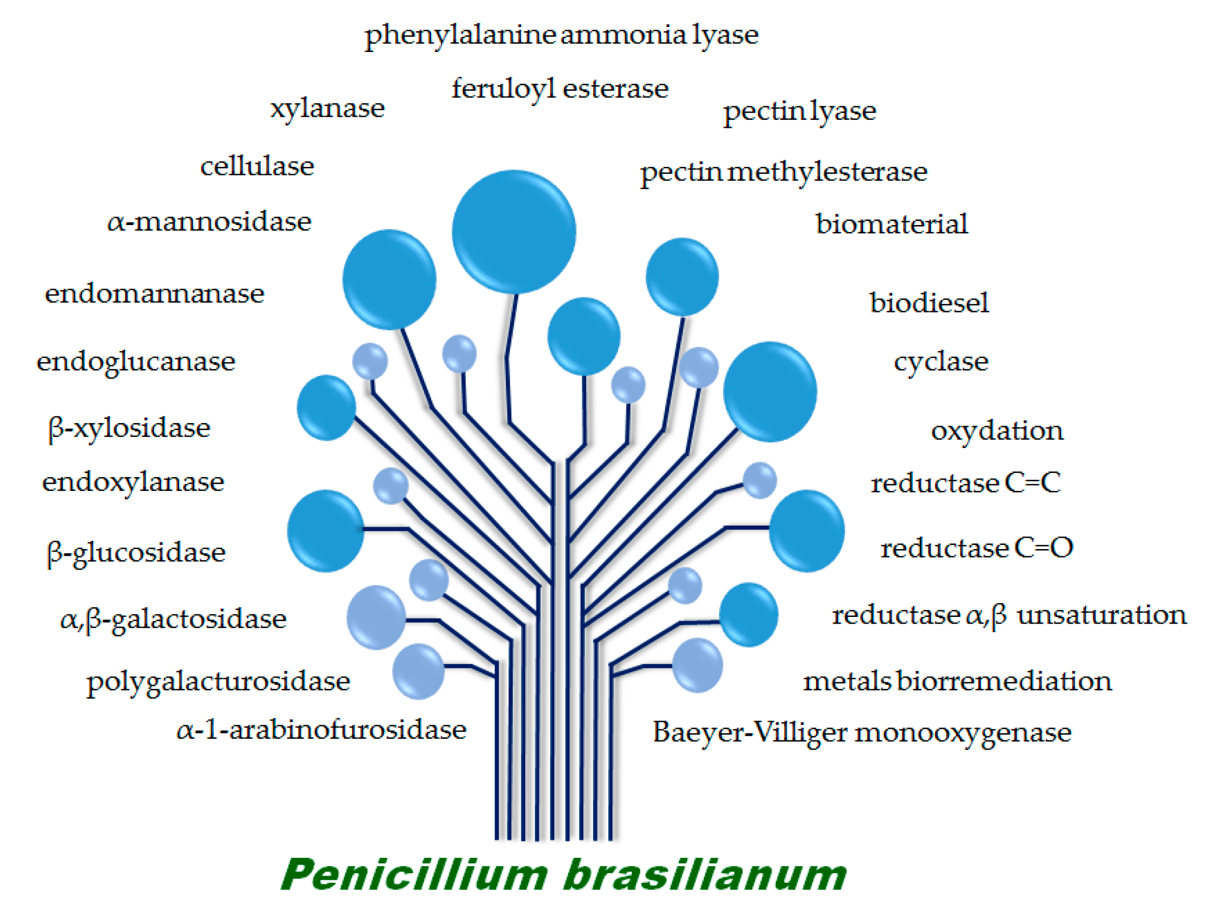 Molecules 22 00858 g001