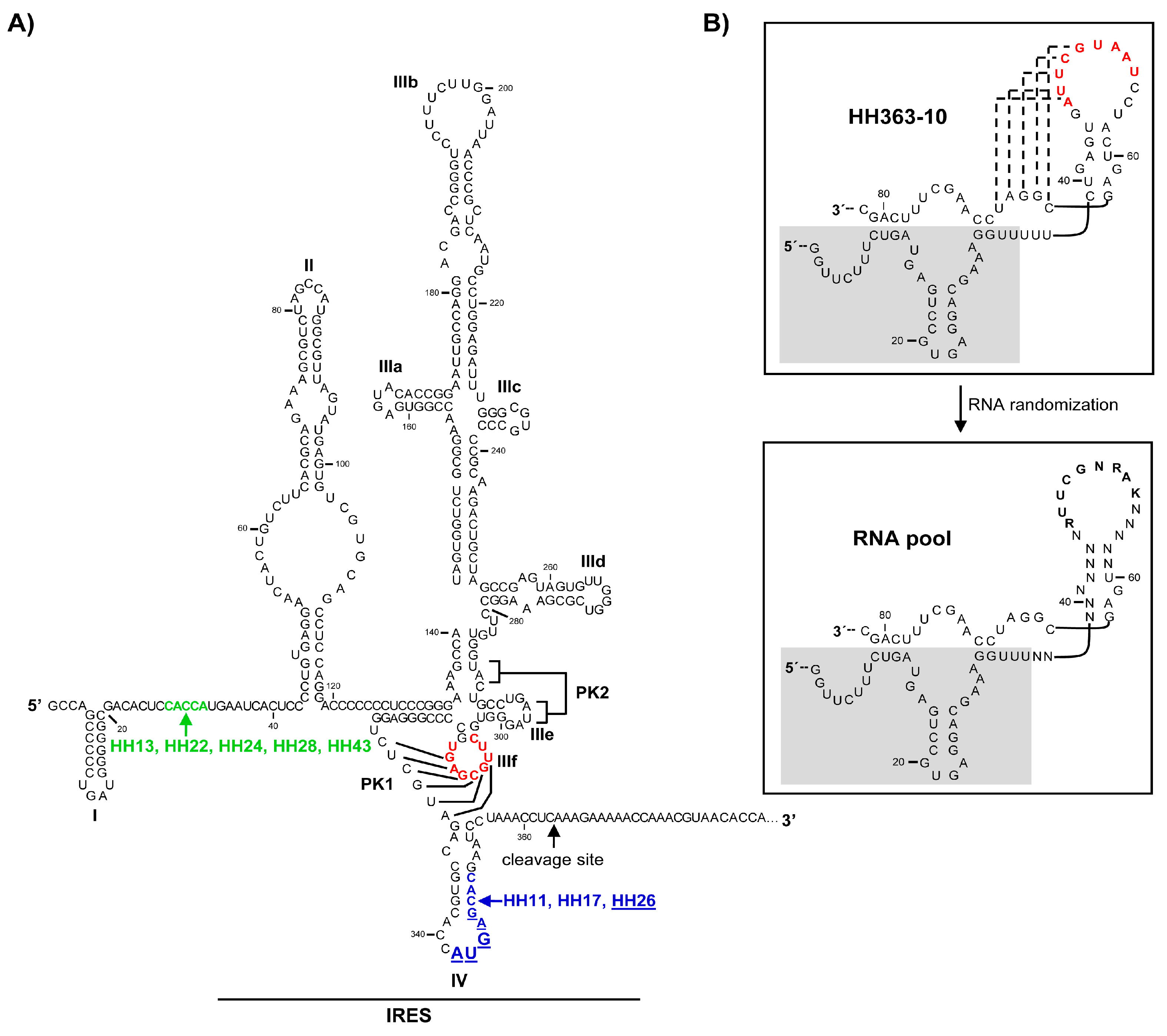 Molecules 22 00861 g001