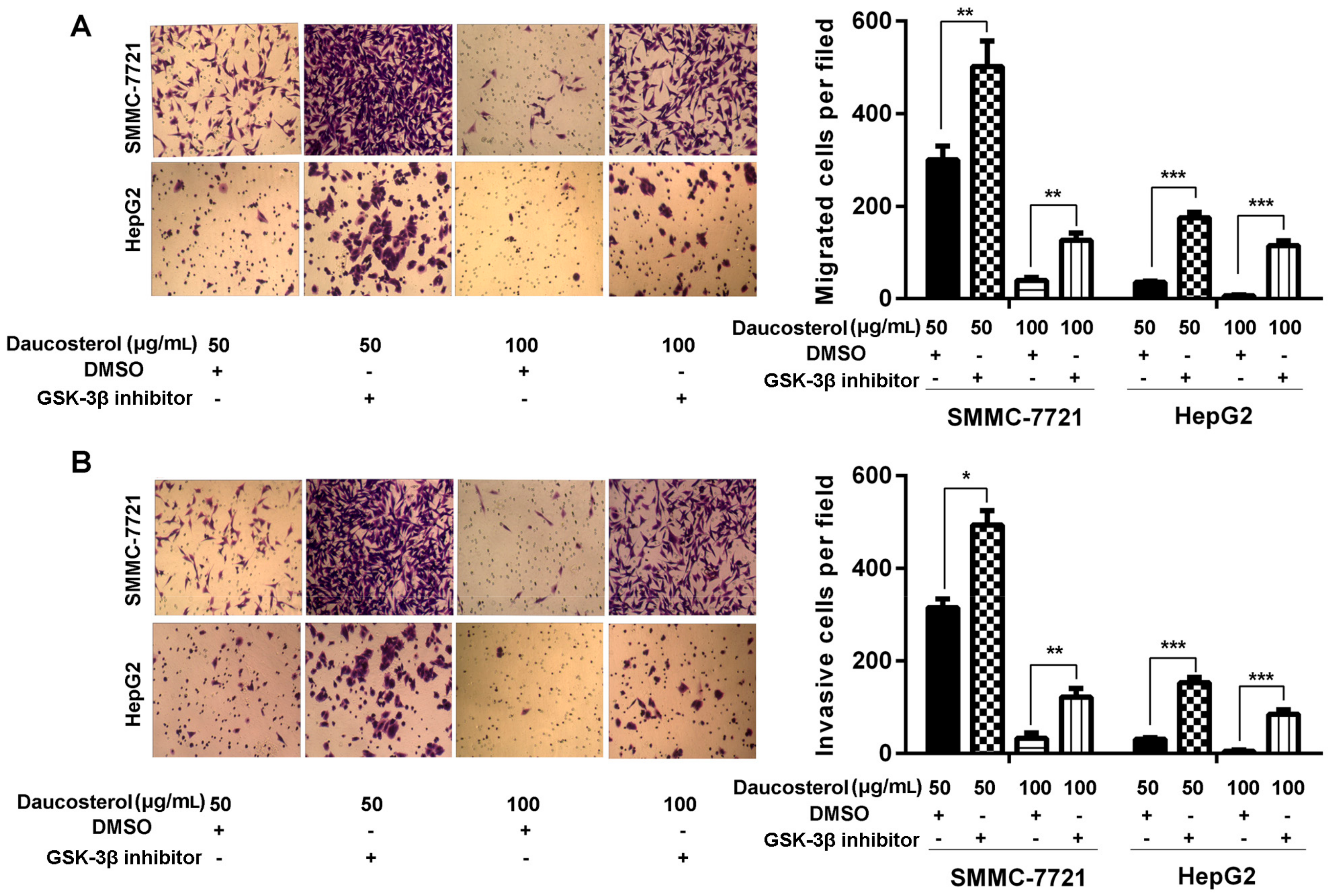 Molecules 22 00862 g005