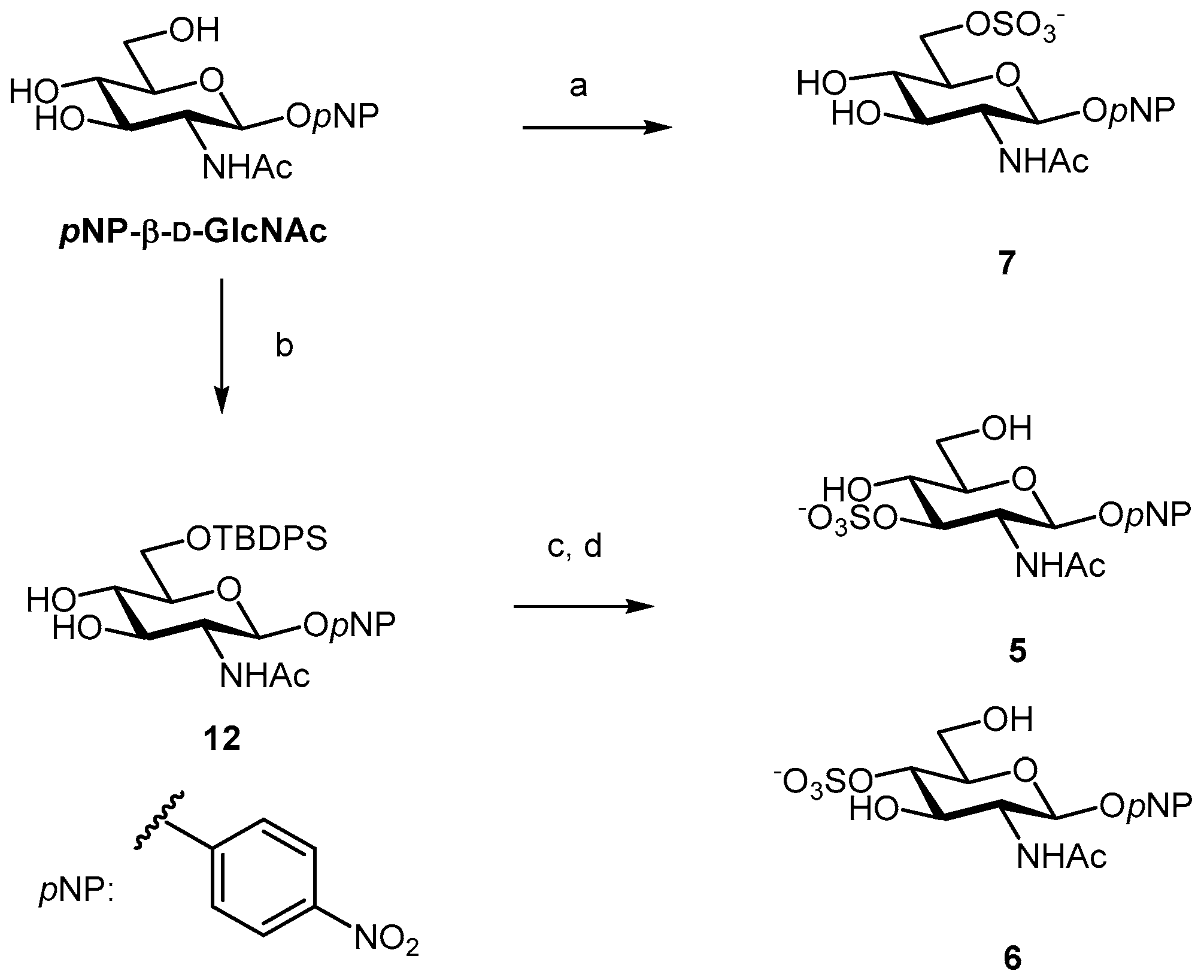 Molecules 22 00864 sch002 Molecules 22 00864 sch002