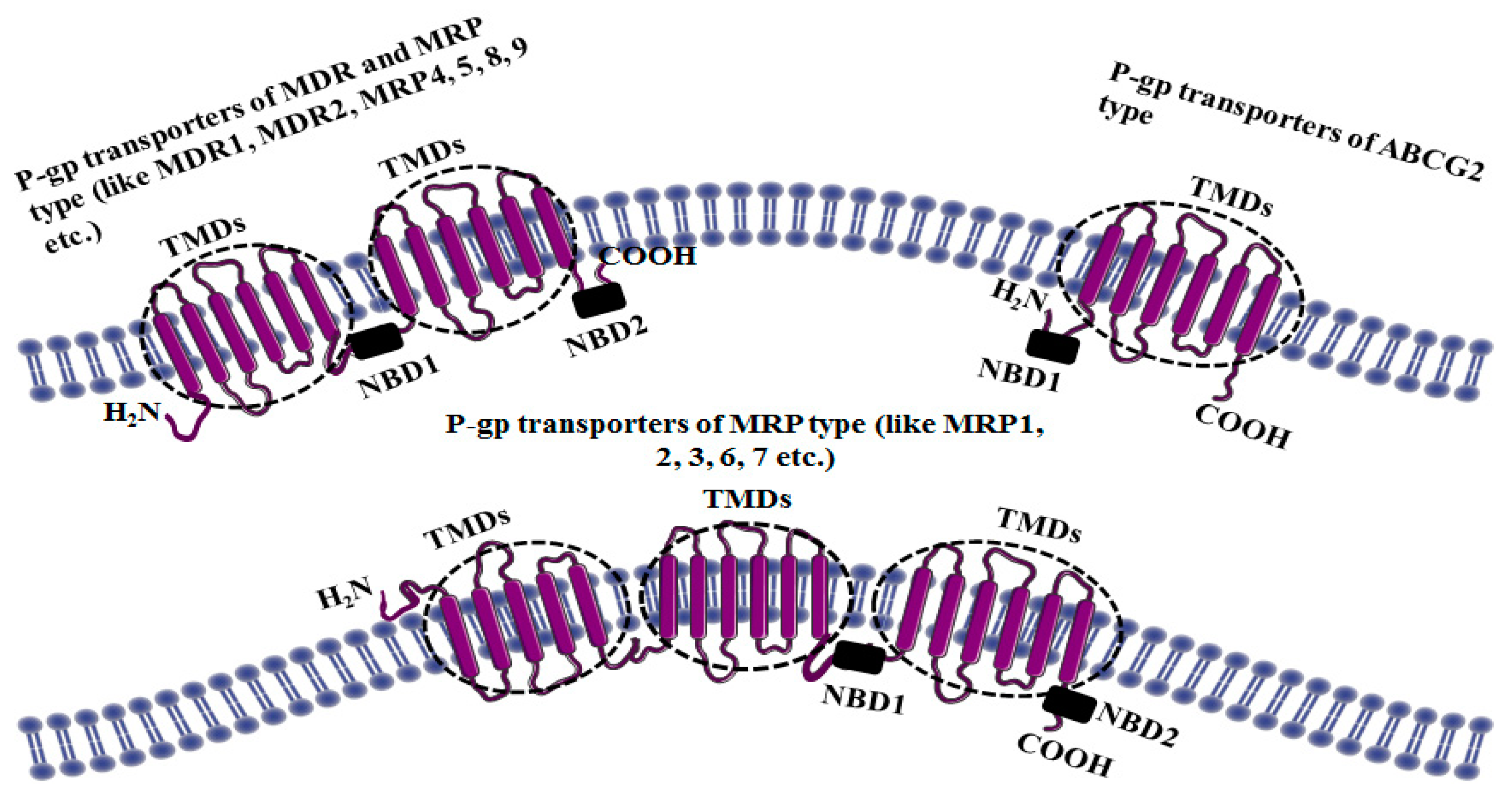 Molecules 22 00871 g001
