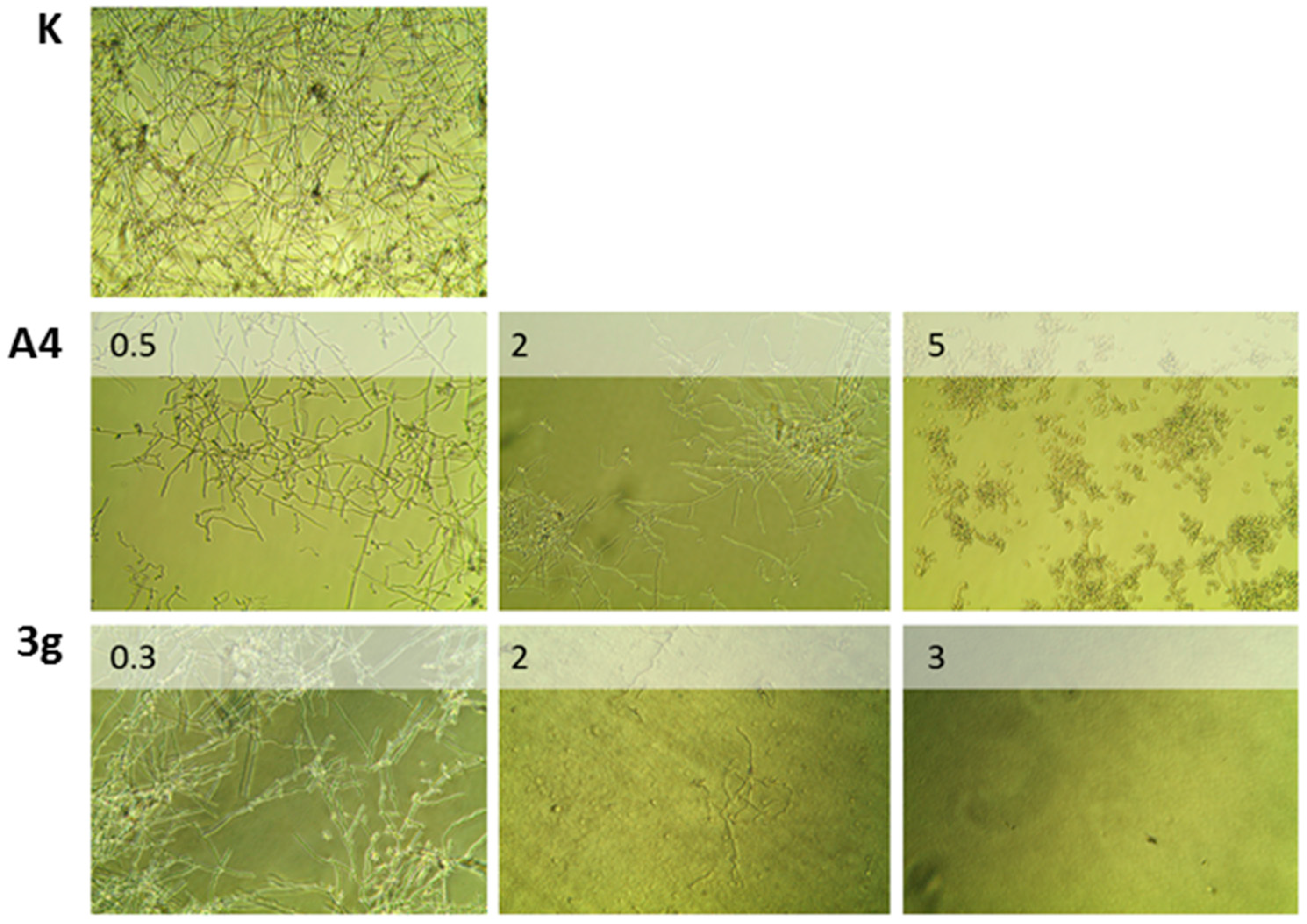 Molecules 22 00875 g002