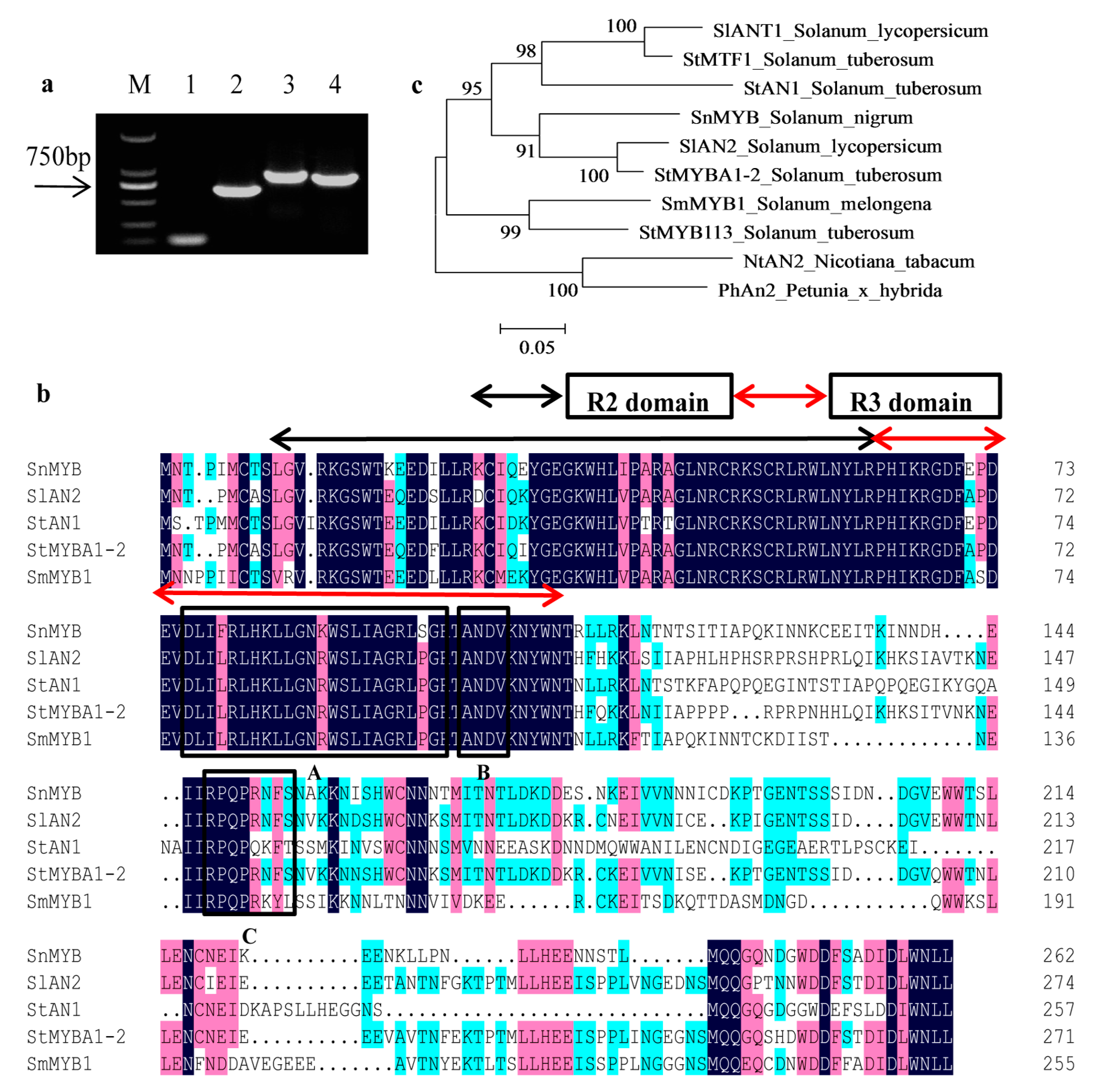 Molecules 22 00876 g004