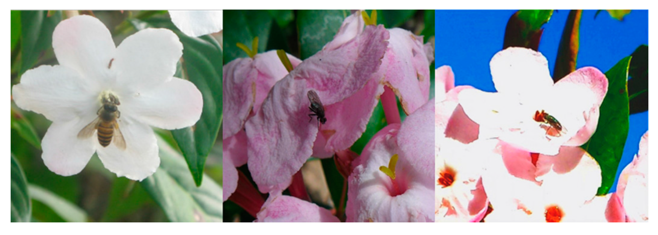 Molecules 22 00879 g002