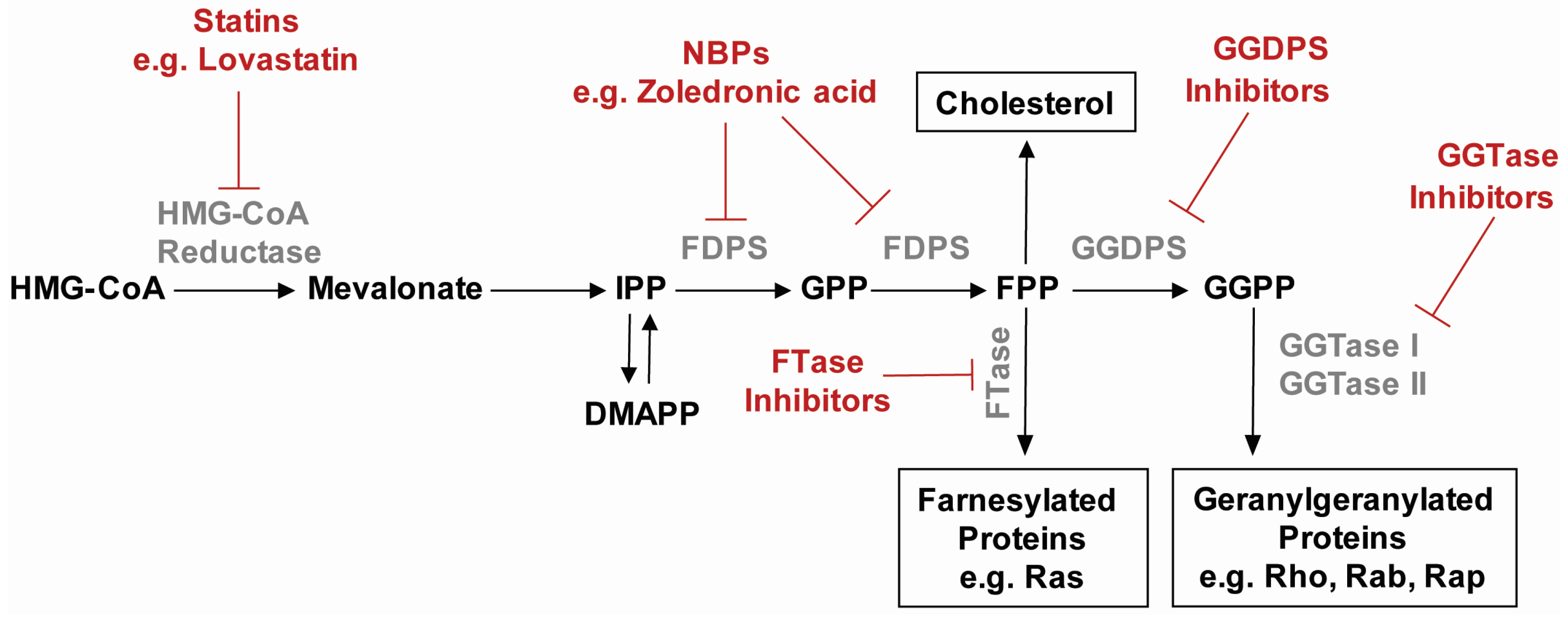 Molecules 22 00886 g001