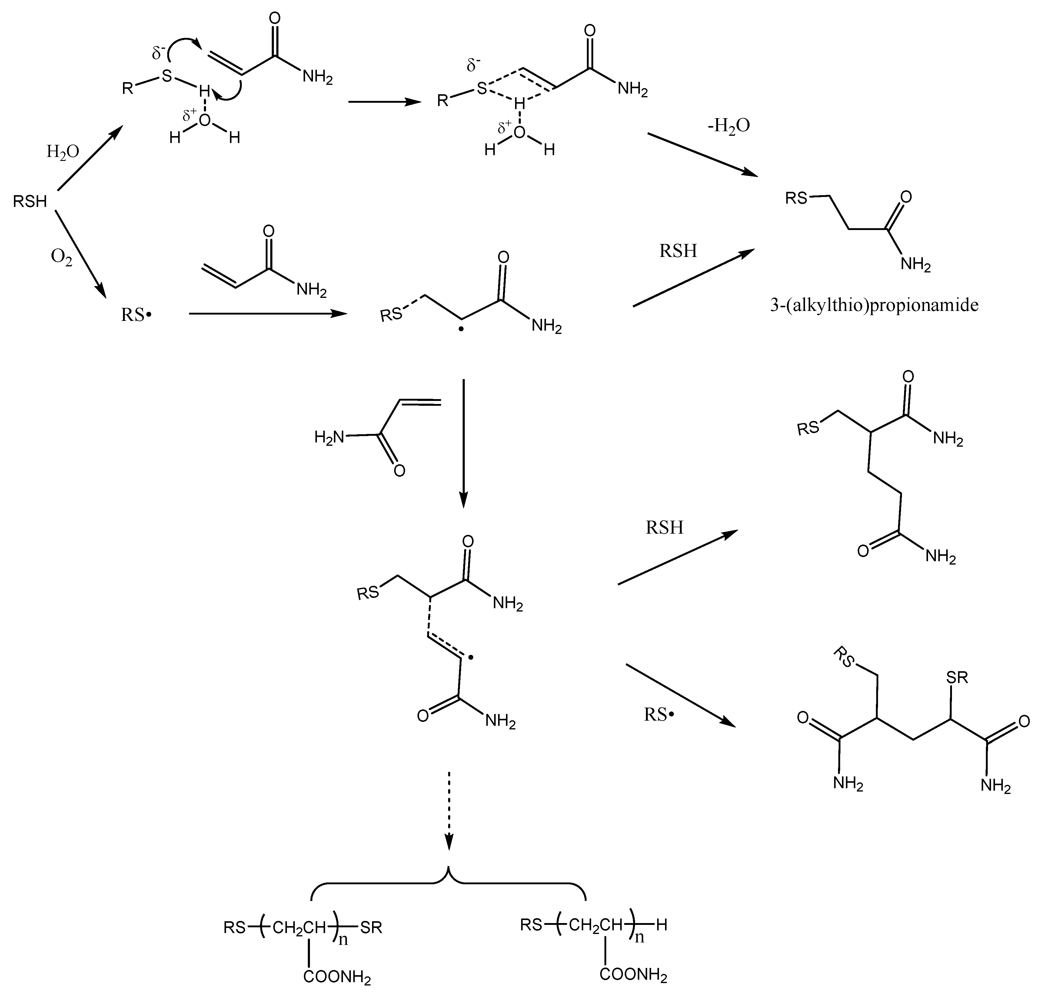 Molecules 22 00888 g006