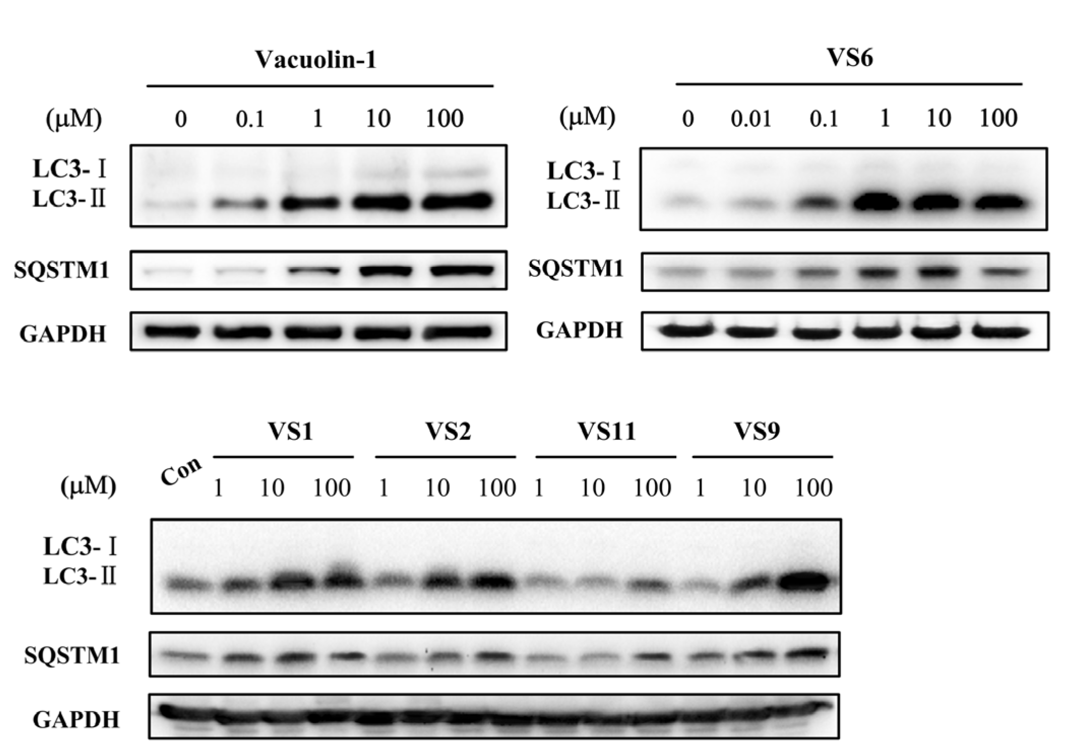 Molecules 22 00891 g001