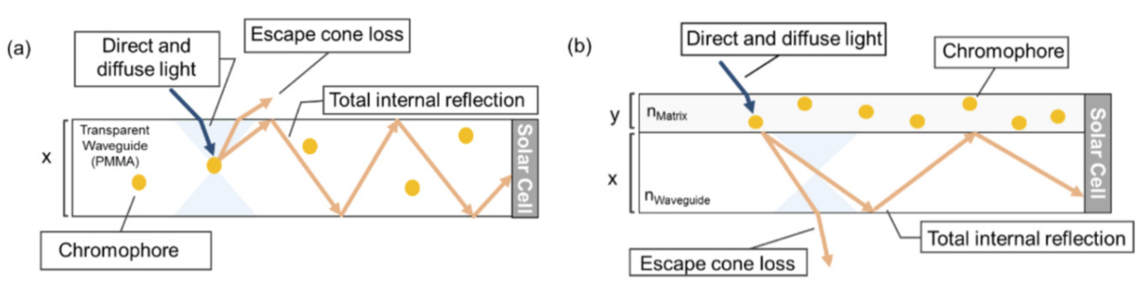 Molecules 22 00897 g004