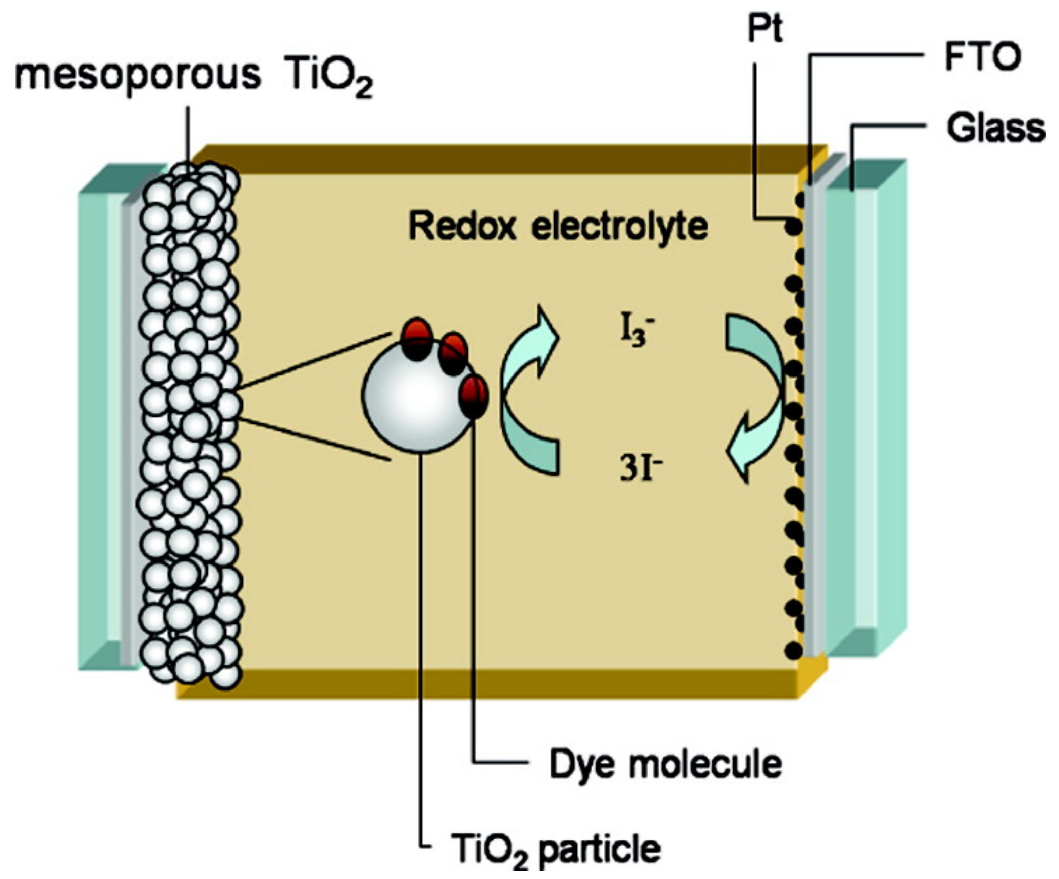 Molecules 22 00897 g007