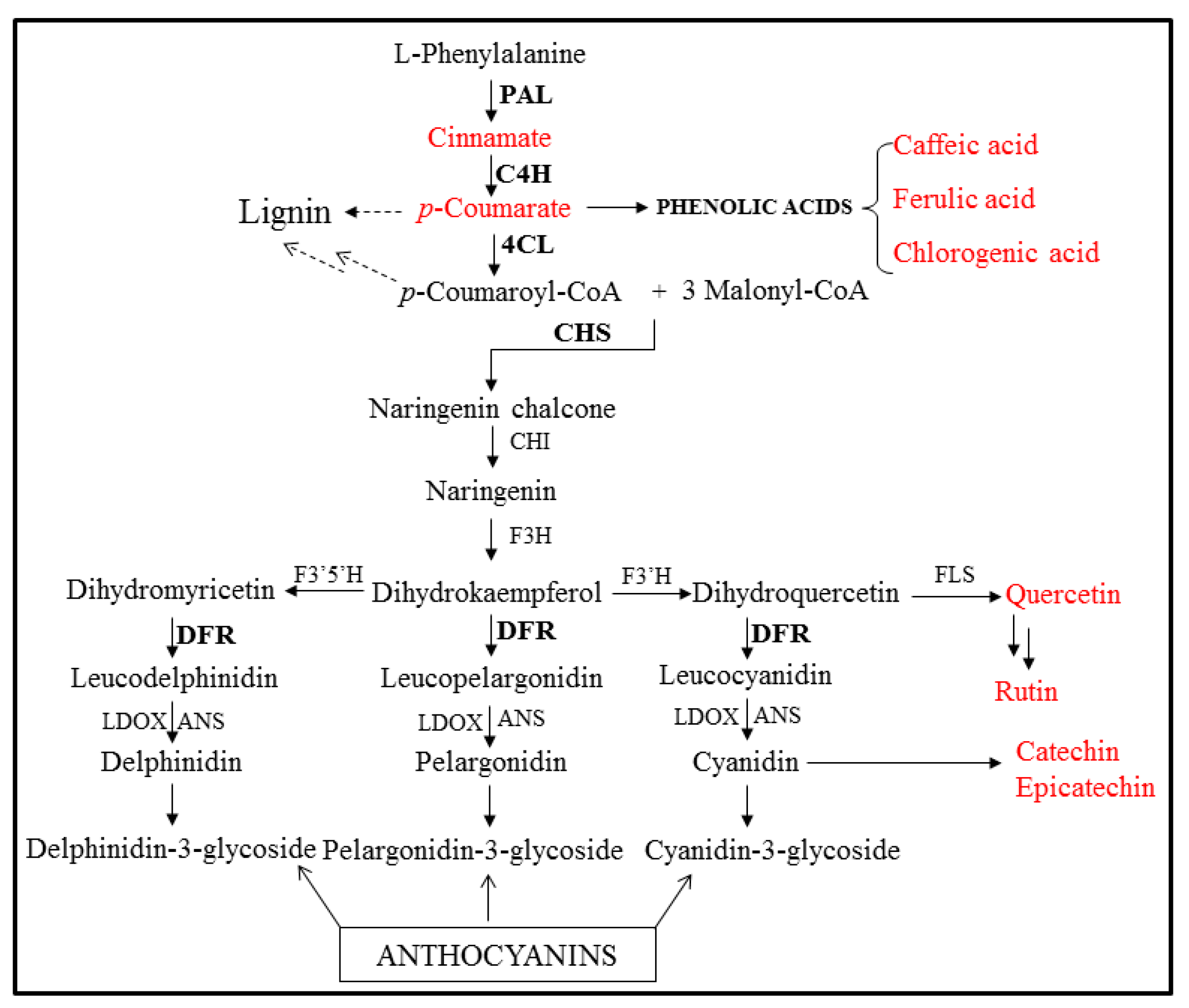 Molecules 22 00901 sch001