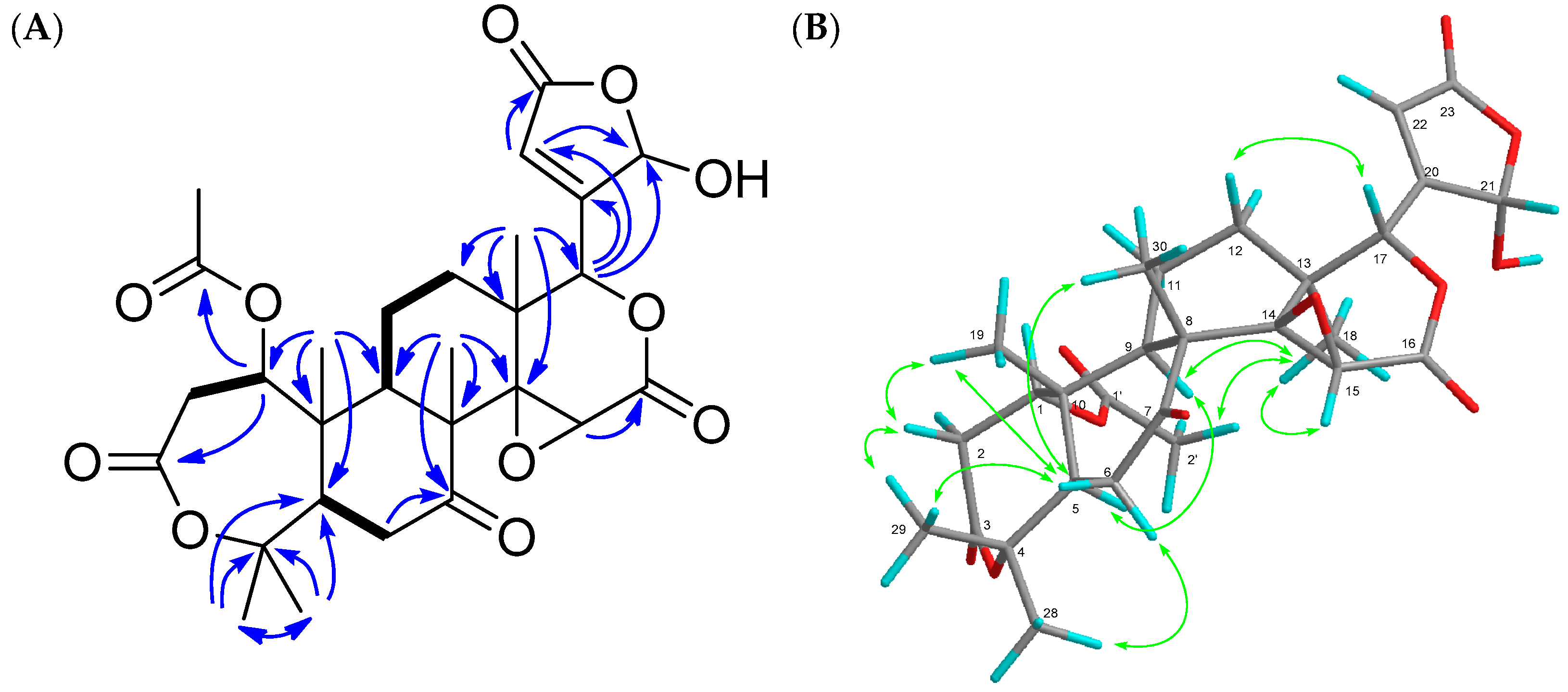 Molecules 22 00907 g002